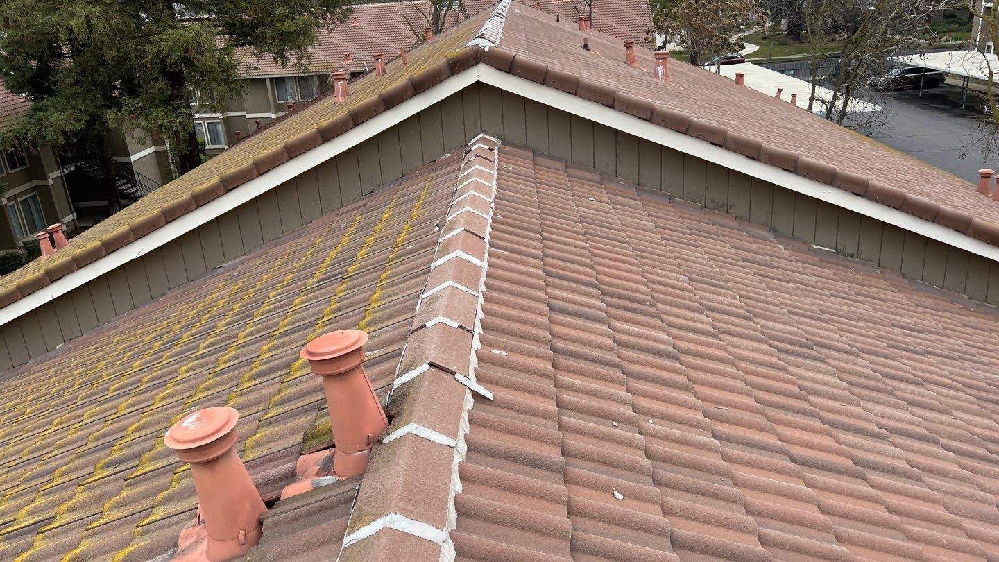 Removed tile from roof and replaced with shingles by Straight Edge Roofing Inc