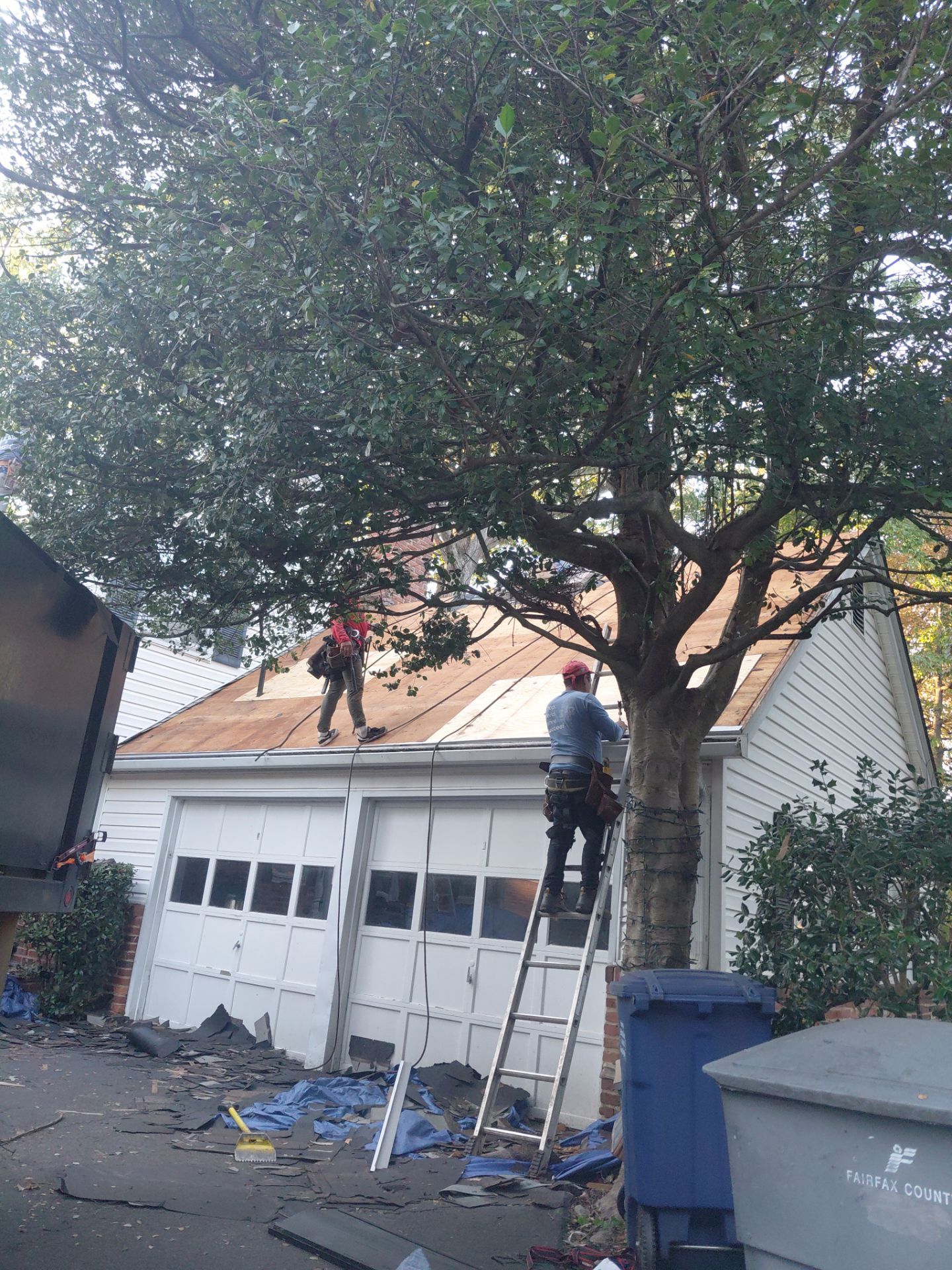 Falls Church: Residential Roof Replacement with CertainTeed Landmark in Moire Black  by RM Banning, Inc.