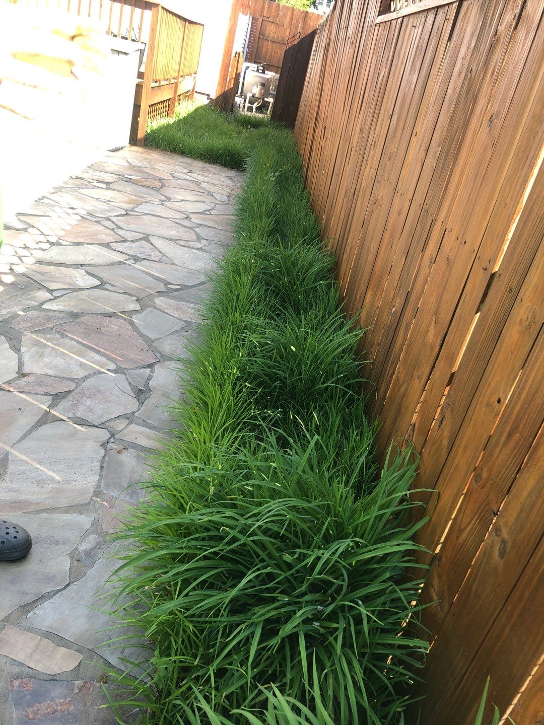 Liriope grasses, mulch and stone pavers by GrassBusters, Inc.