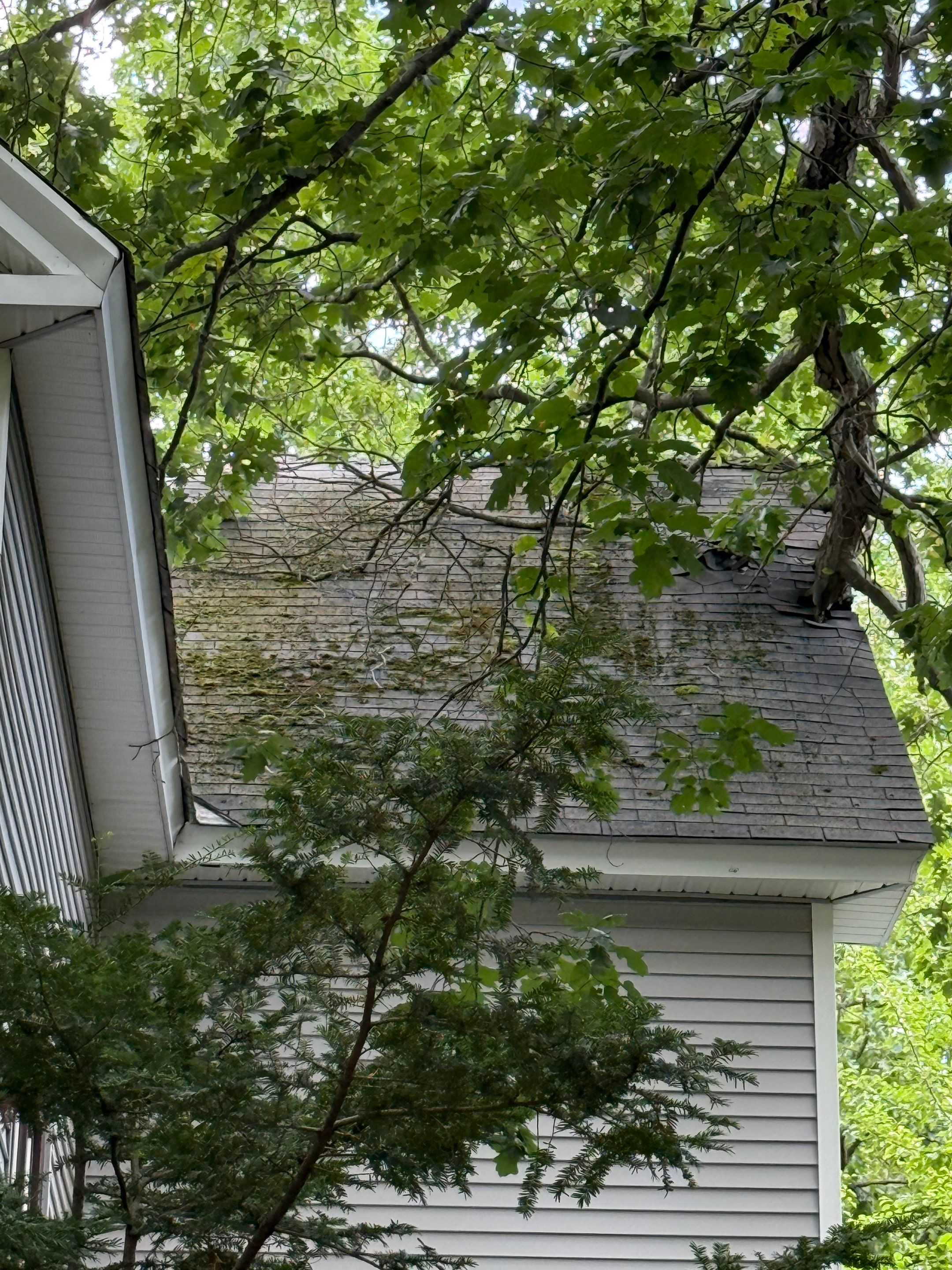 Roof Replacement and Chimney Repair in Fitchburg, MA by Mighty Dog Roofing of Greater Middlesex County