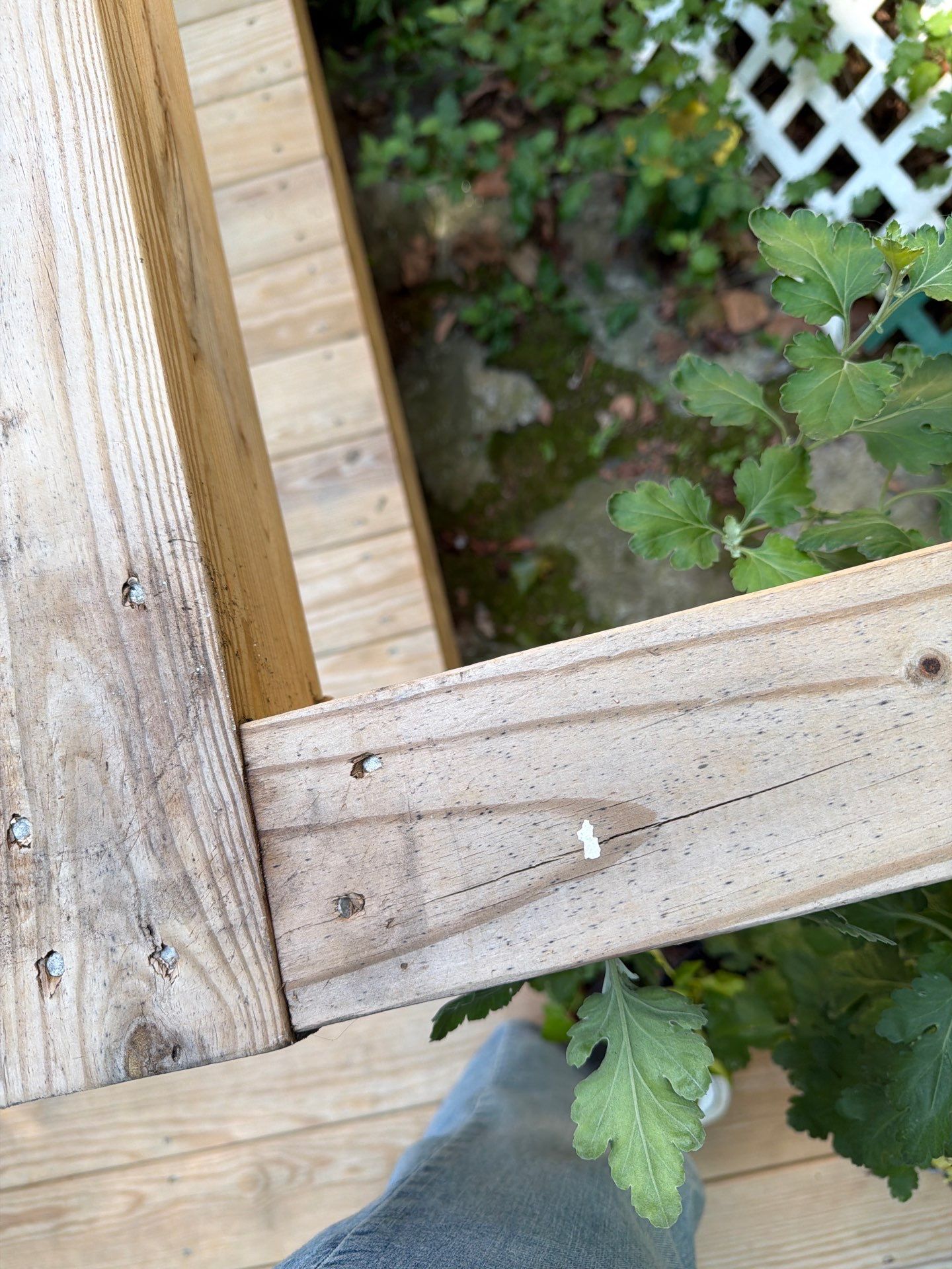 Deck using Wood Sealant by DuraSeal