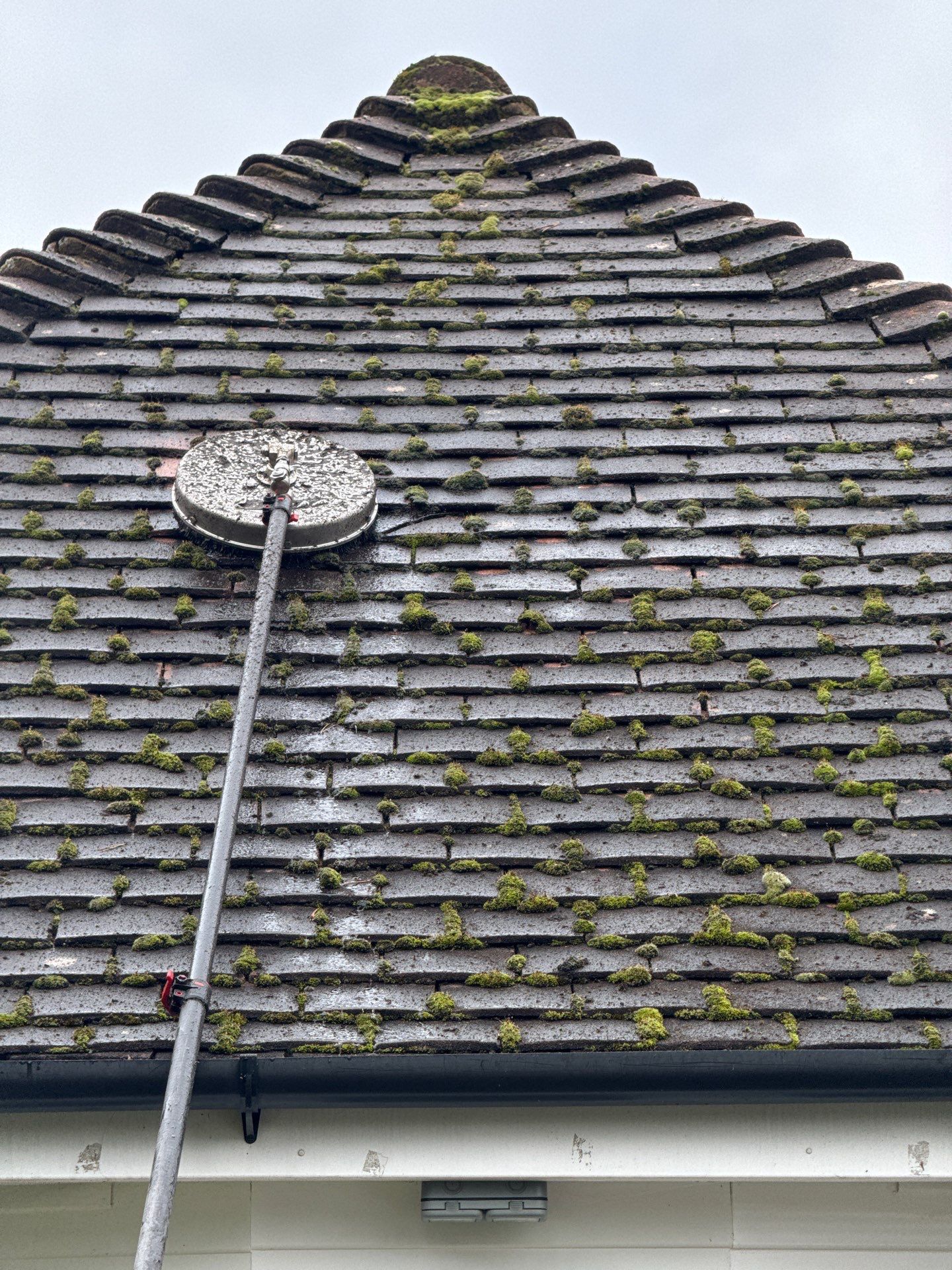 Roof Clean  - Moss Removal - Gutter Clean using Softwash Equipment by Ges Exterior Cleaning ltd