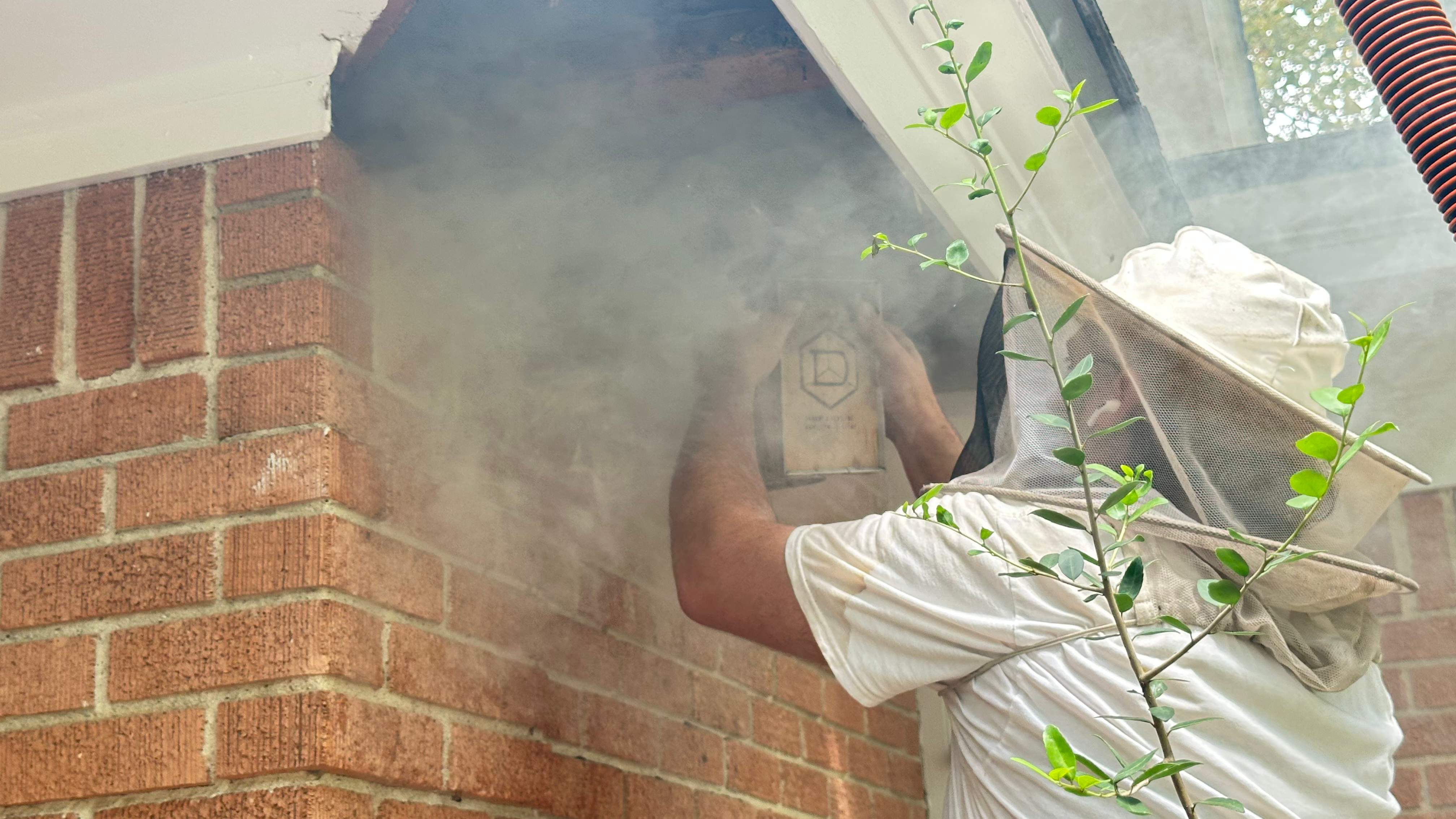 Long-term Residents by Rockwall Honey Bee Company