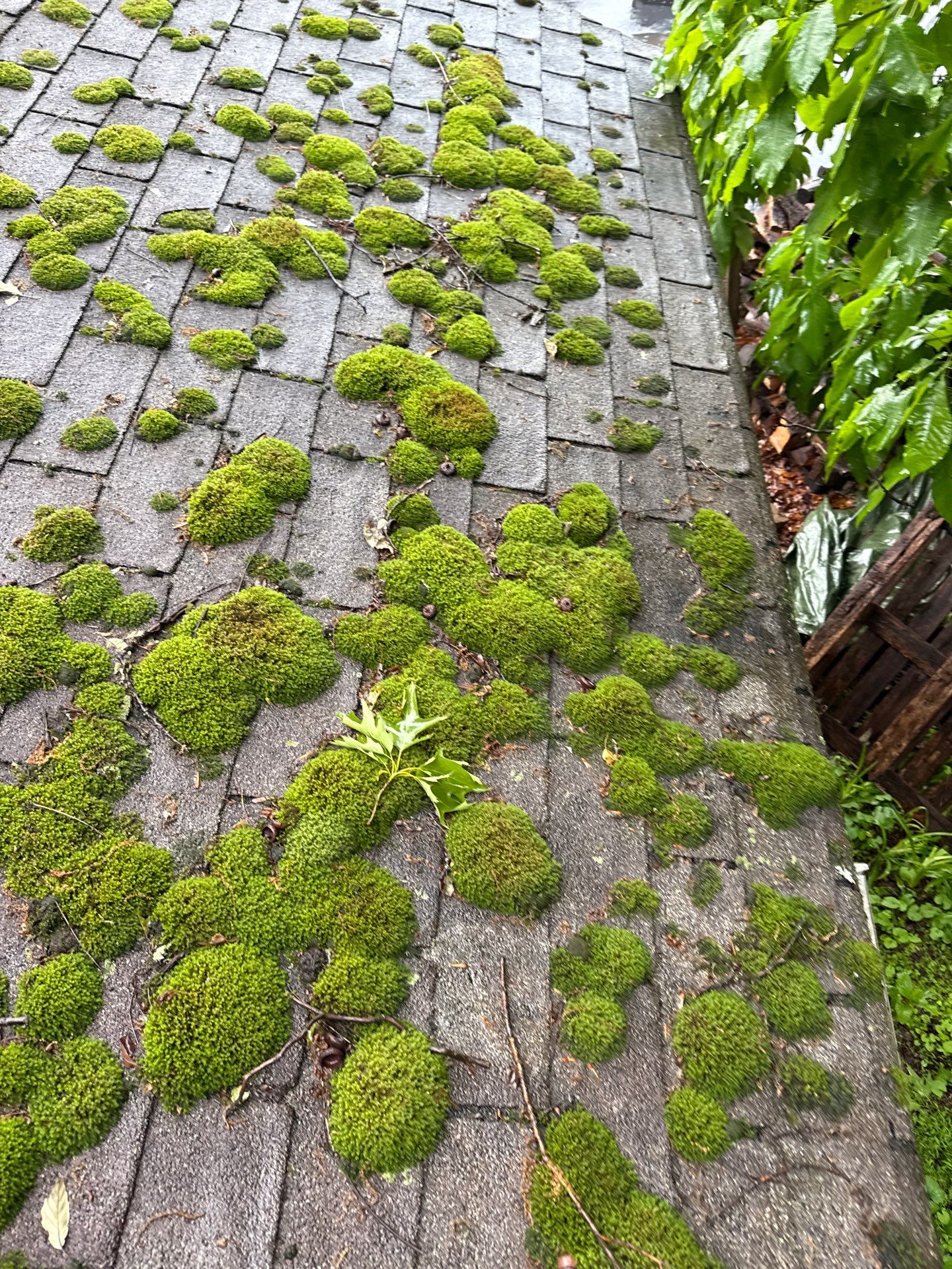 Paul Vidunas Full Shingle Roof Installation by Good Hands Roofing