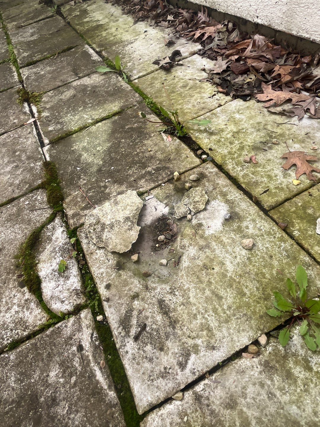 natural stone using Algaecide, soft wash soap by Northern Power Washing LLC.