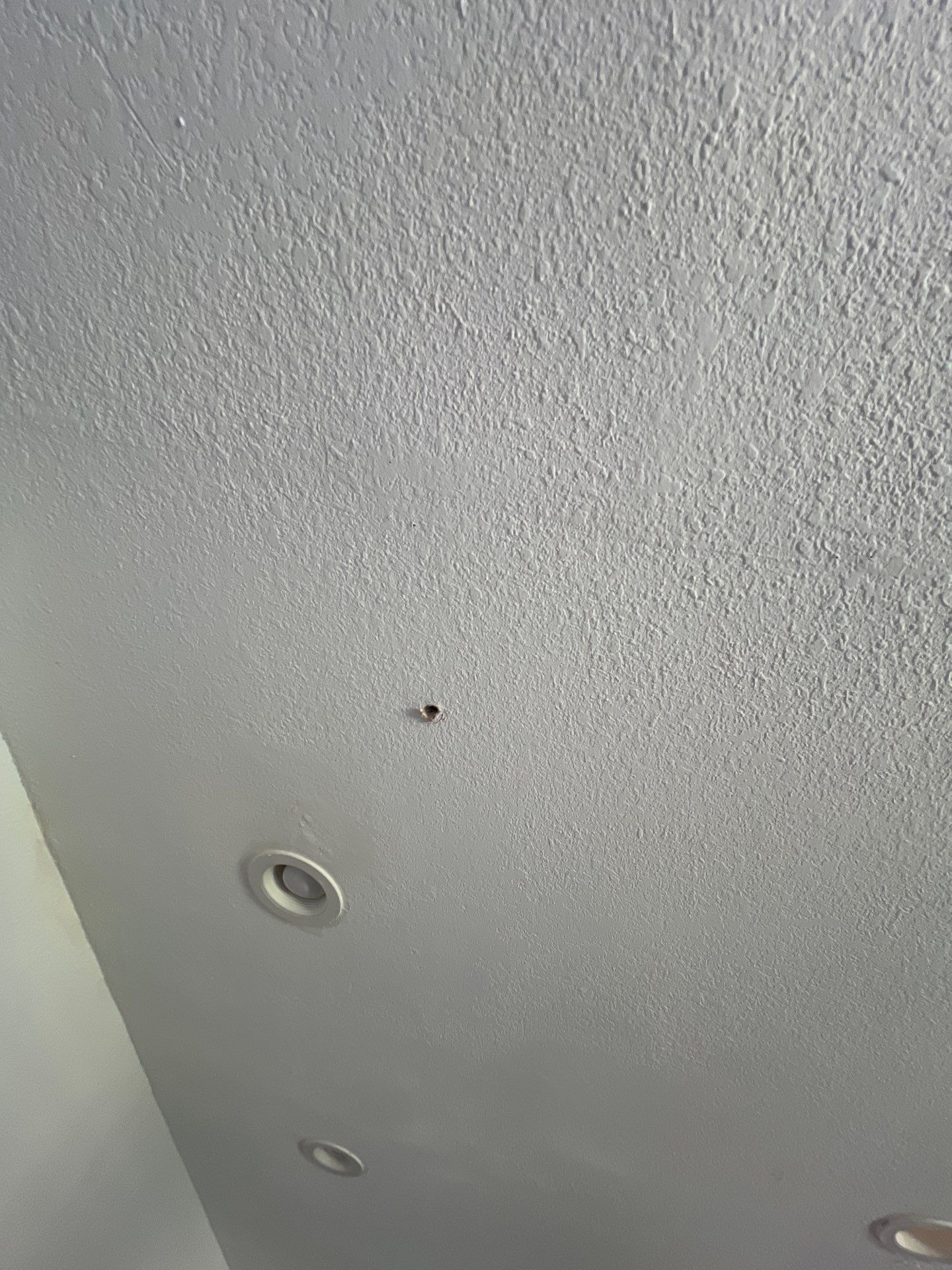 Windstorm Damage & Multi-Room Water Mitigation in St. Petersburg by Right On Time Restoration