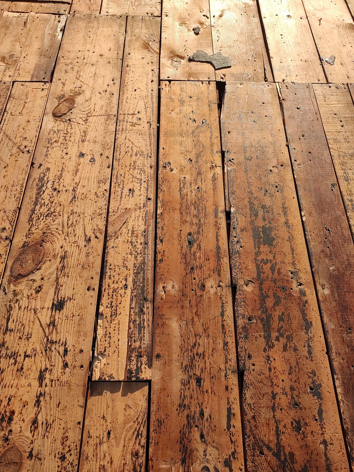 Storm damage restoration project by In & Out Construction & Remodeling, LLC