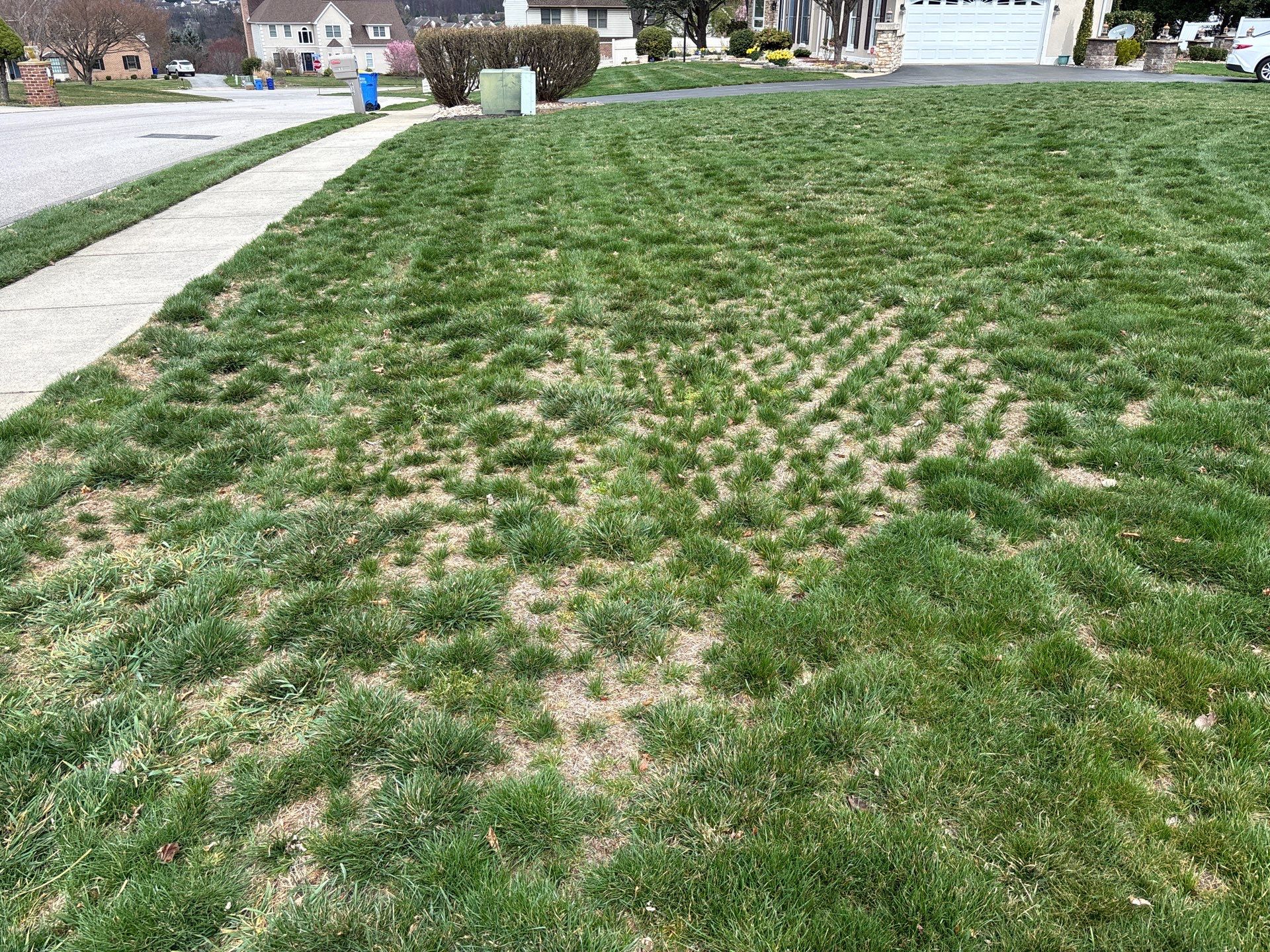 York Pa by Go Green CLC