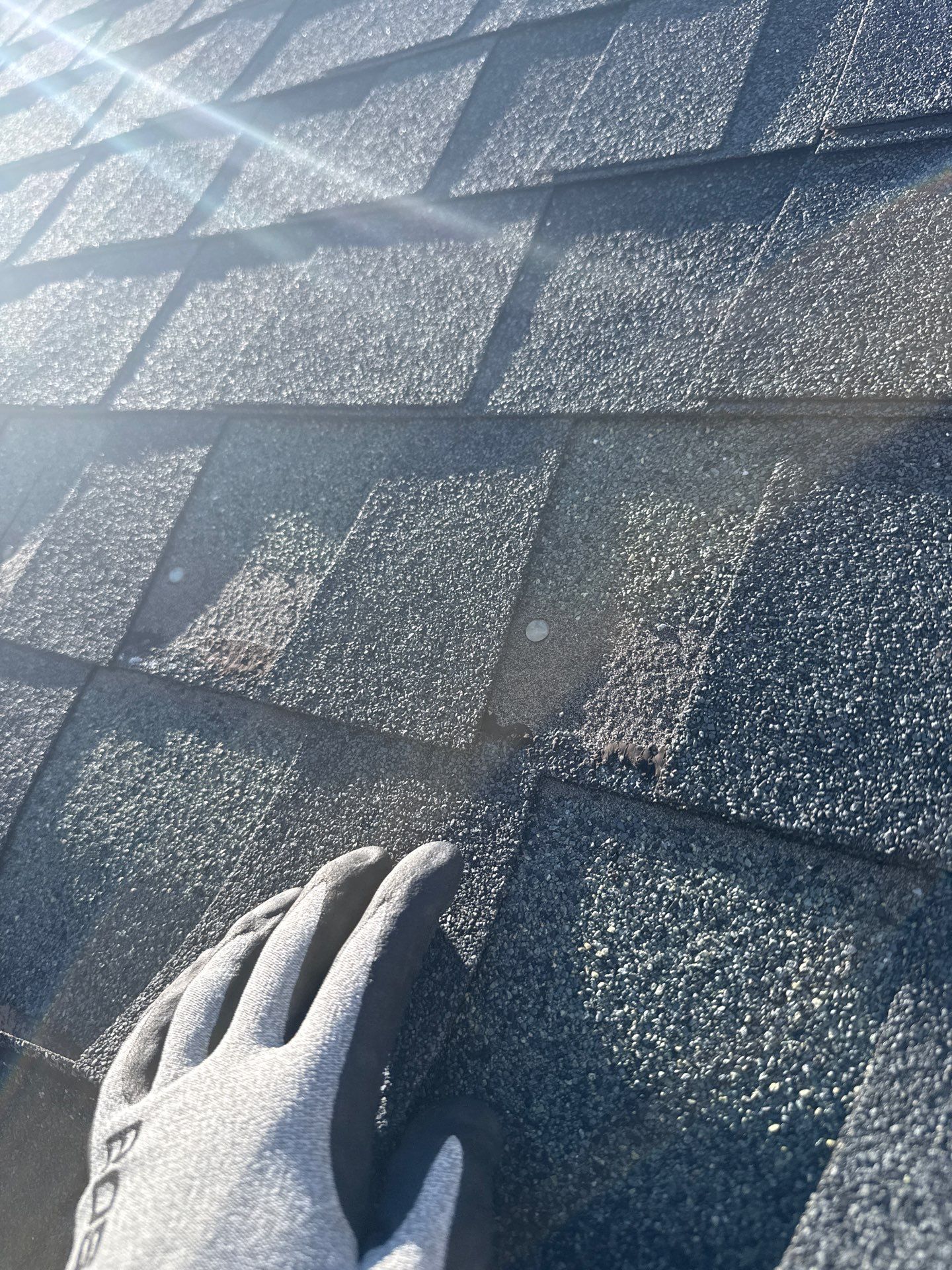 Critter Damage Repair: Ridge Vent Upgrade & Mansard Shingle Restoration by JOHNNYS PRO
