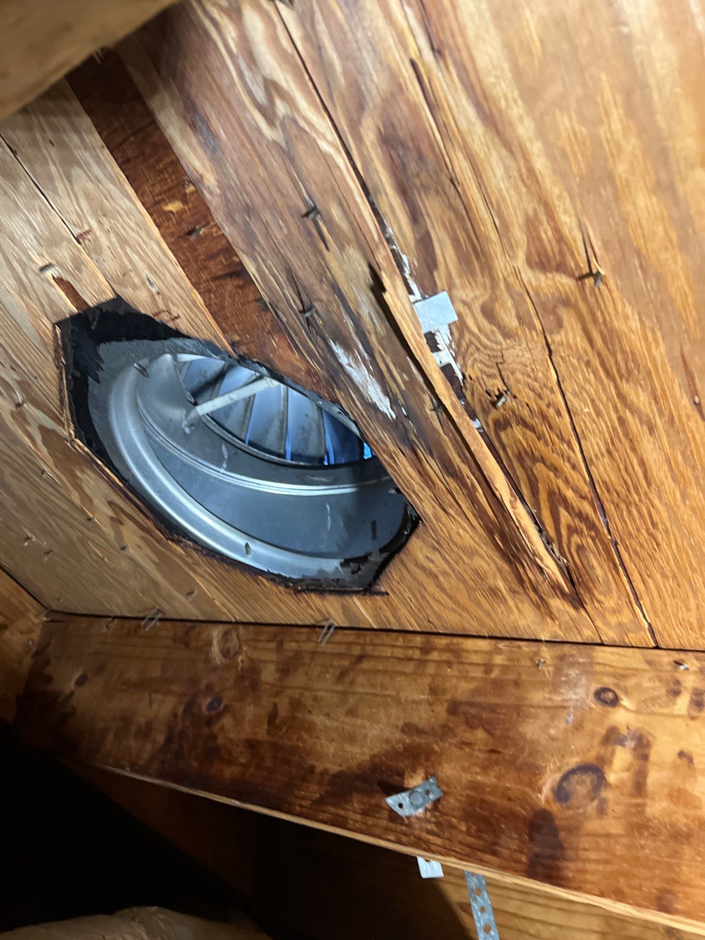 Leak Investigation & Repairs by JTX Pro Services LLC