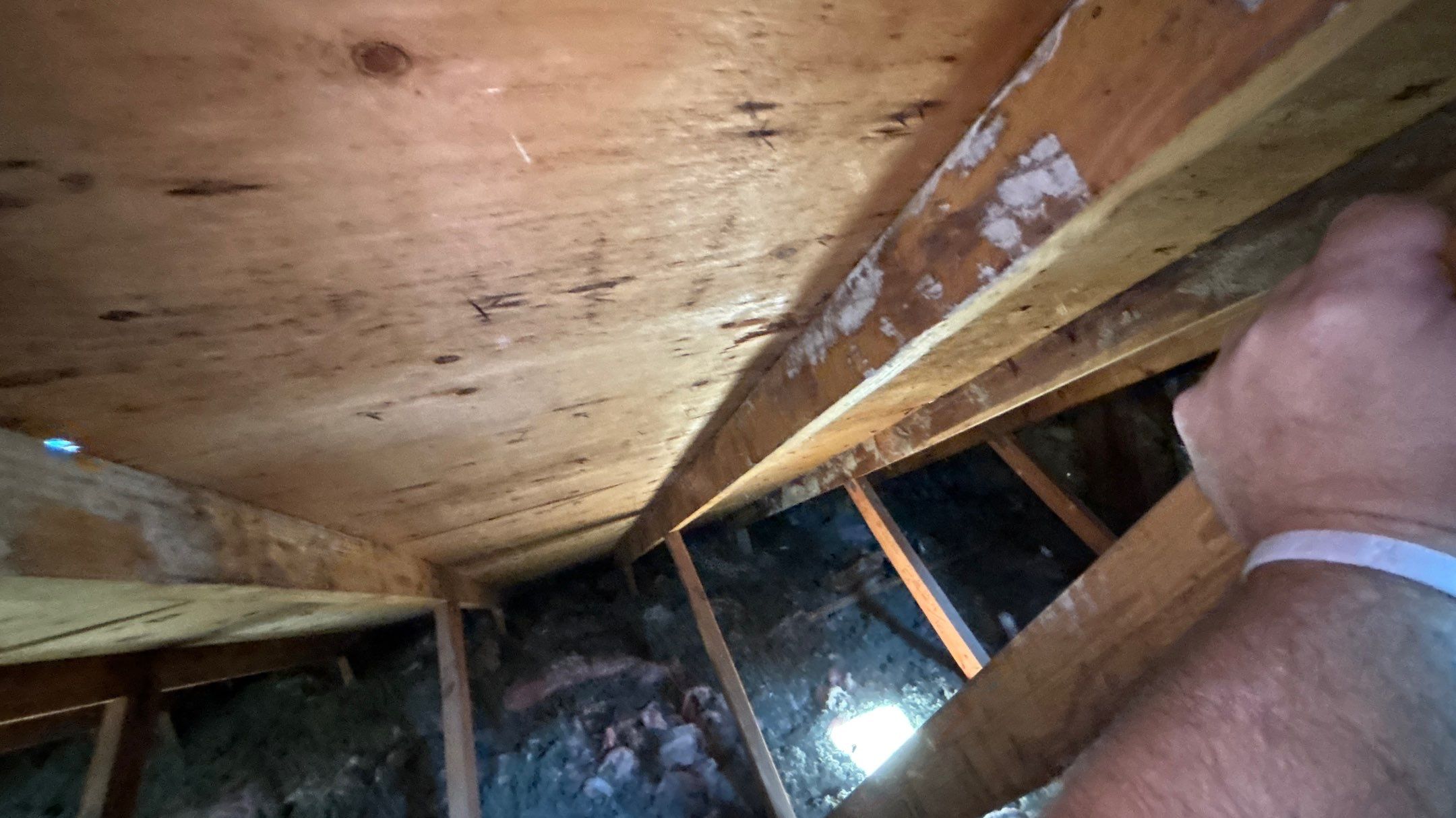 Roof Replacement using Owens Corning Brownwood by 180 Contractors