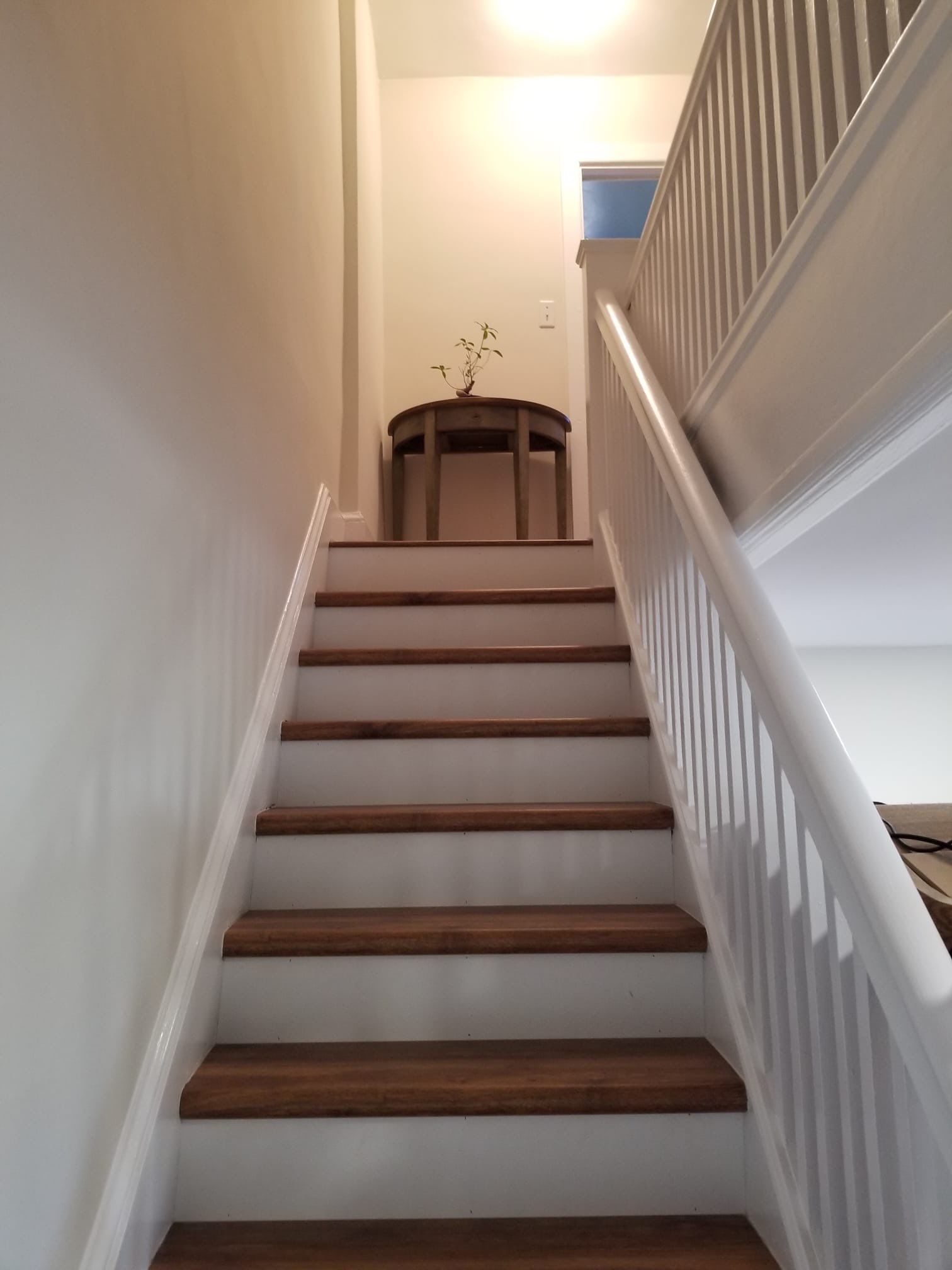 Colorful Room Painting Project by Davis Painting Llc 