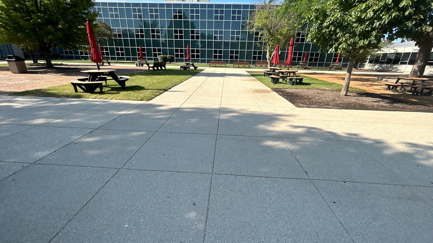 concrete using Algaecide, soft wash soap by Northern Power Washing LLC.