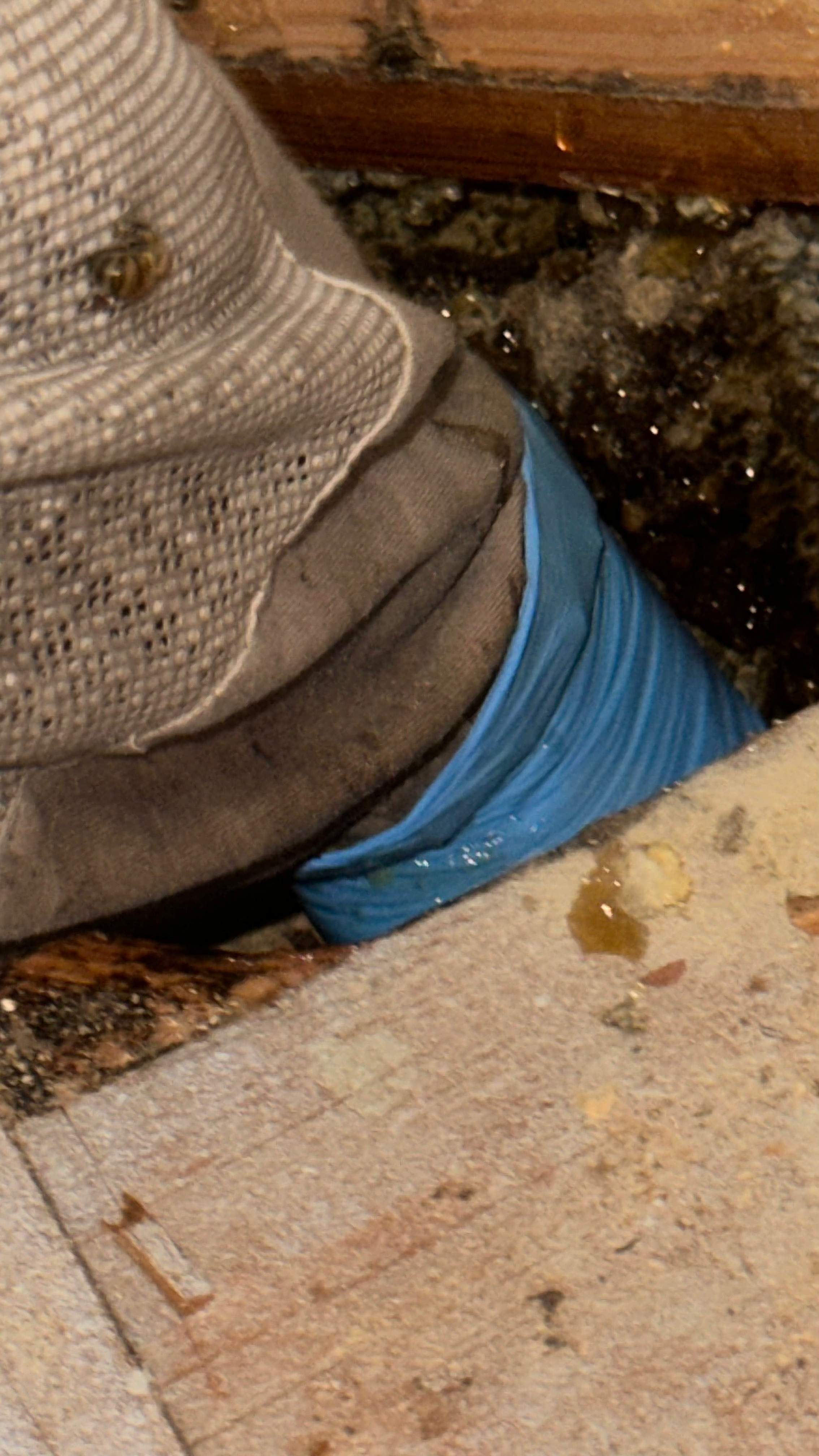 Under-foot. by Rockwall Honey Bee Company