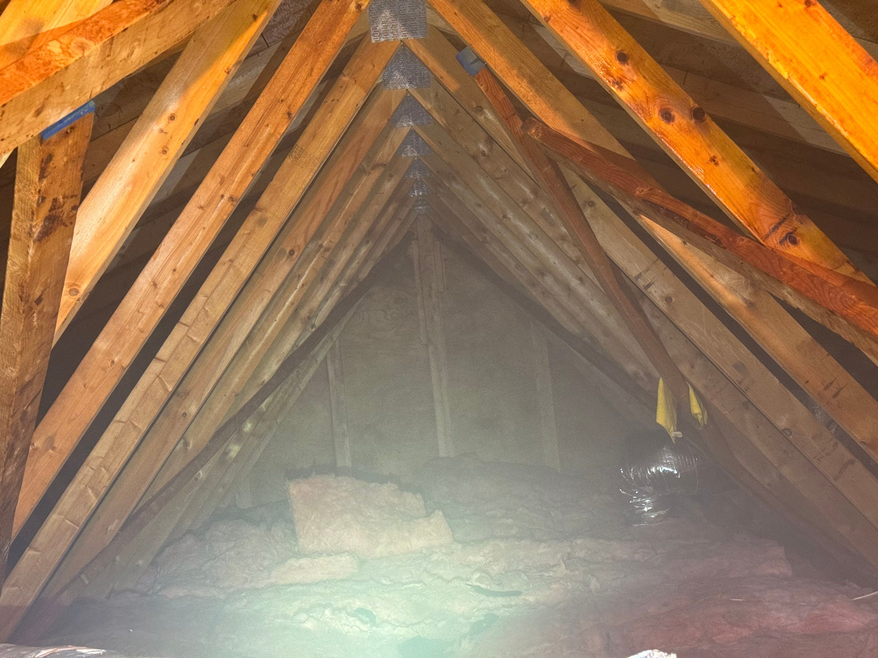 Attic Mold Remediation by Home Guarantee, LLC