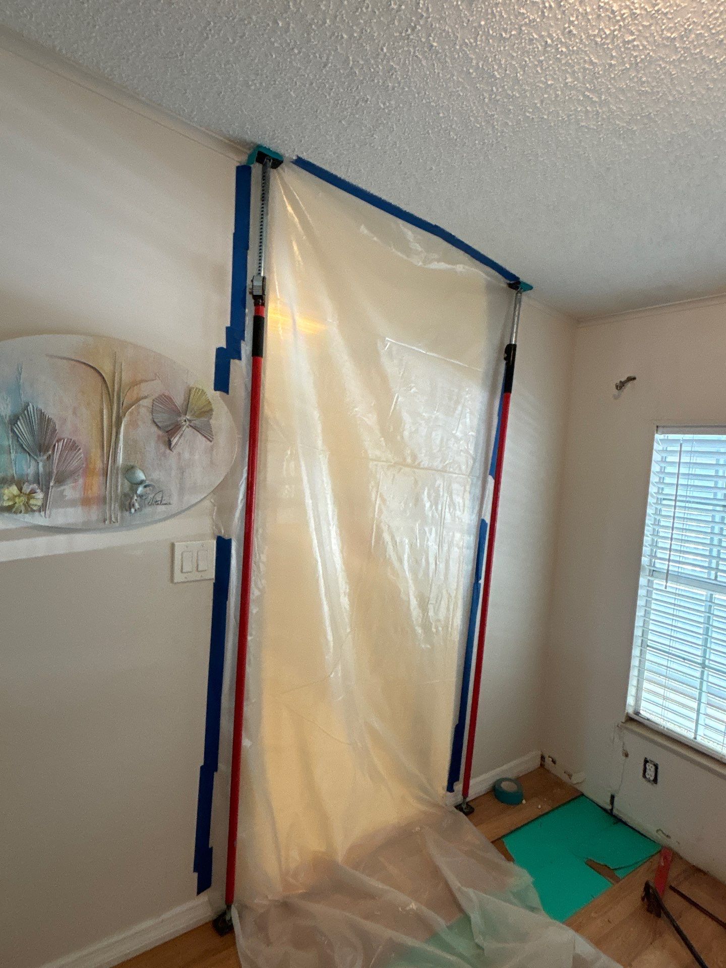 Mold Remediation Palmetto by Ampm Restoration Services 