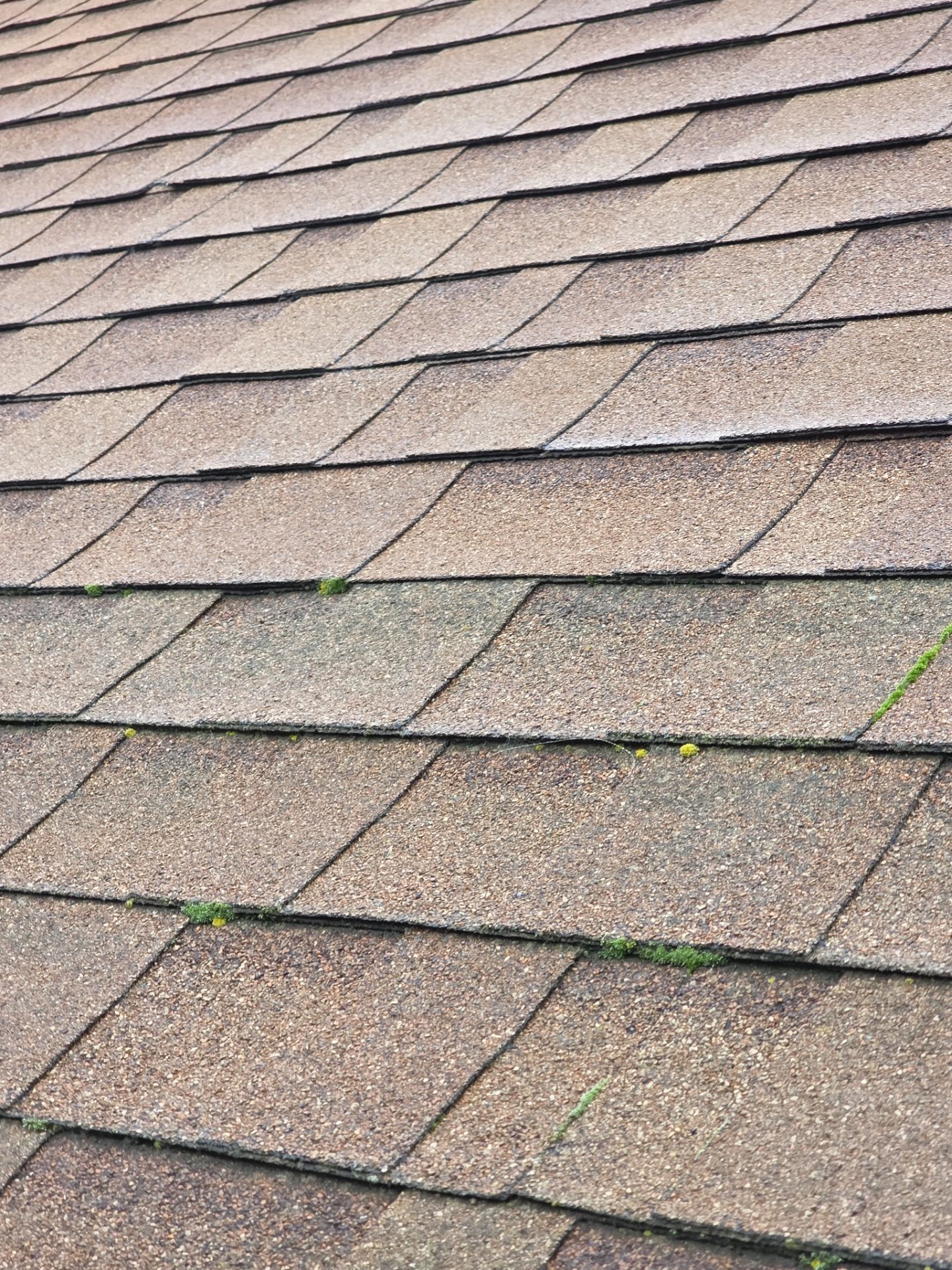 Roof Rejuvenation using Roof Maxx Treatment by Roof Maxx of Folsom