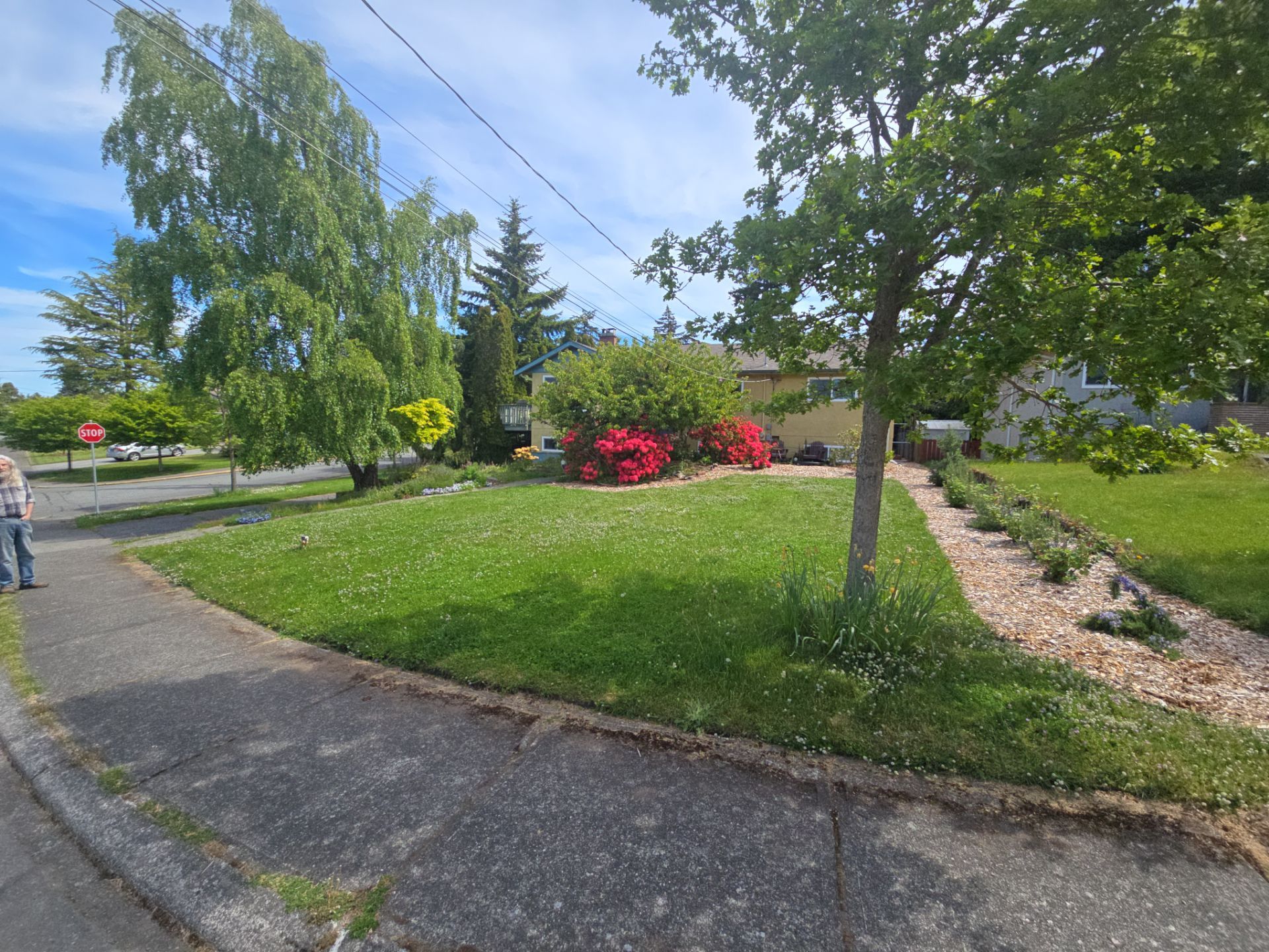 Front Yard Ecological Conversion – A West Coast-Inspired Low-Maintenance Oasis by Habanero Garden and Exterior Care