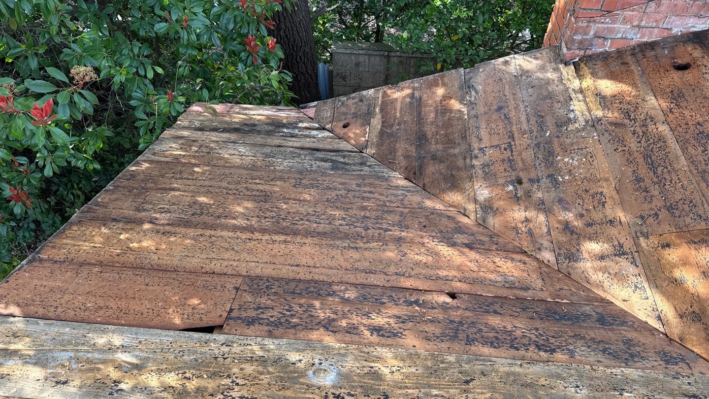 Willa Holmstock by NuLead Construction Inc