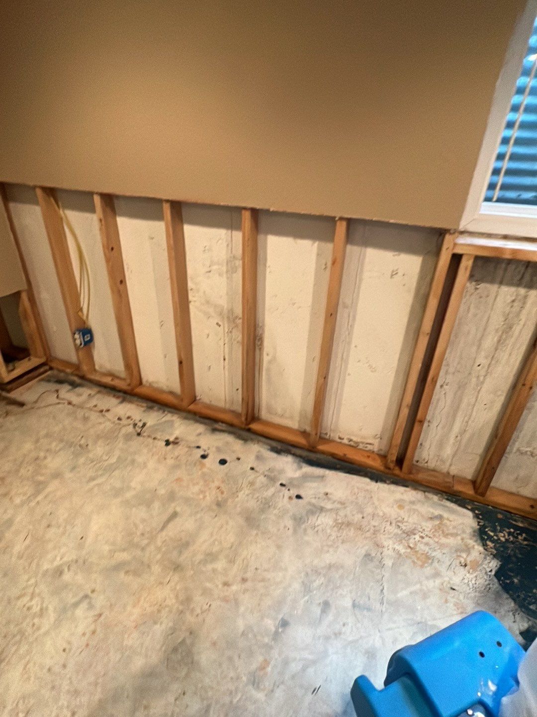 Mold Damage by Accountable Home Services