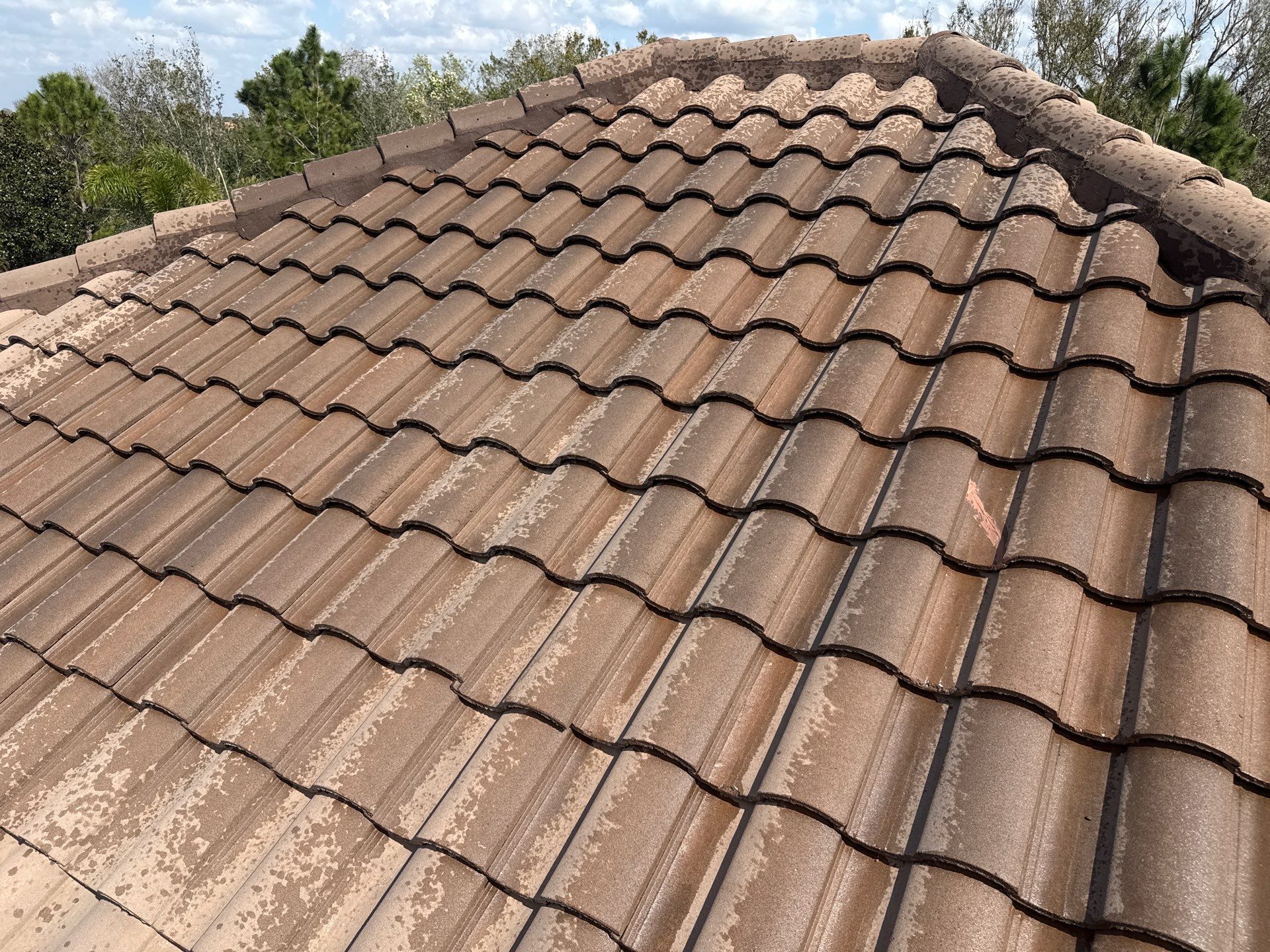 Tile Roof & Pool Deck Cleaning in Artisan Lakes Esplanade, Palmetto, FL – Sunshine AquaWash by Sunshine AquaWash
