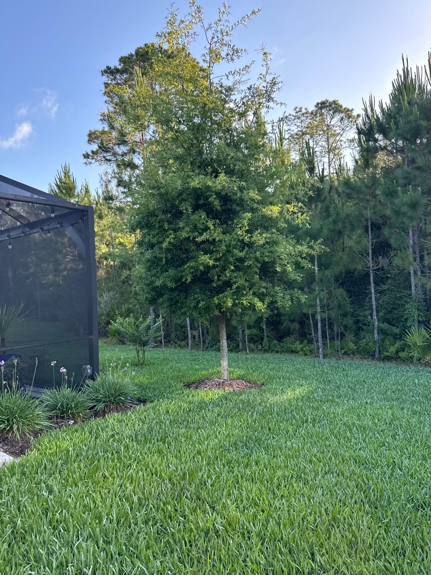 Residential | Topsoil Install & Tree Trimming by ProGreen Services
