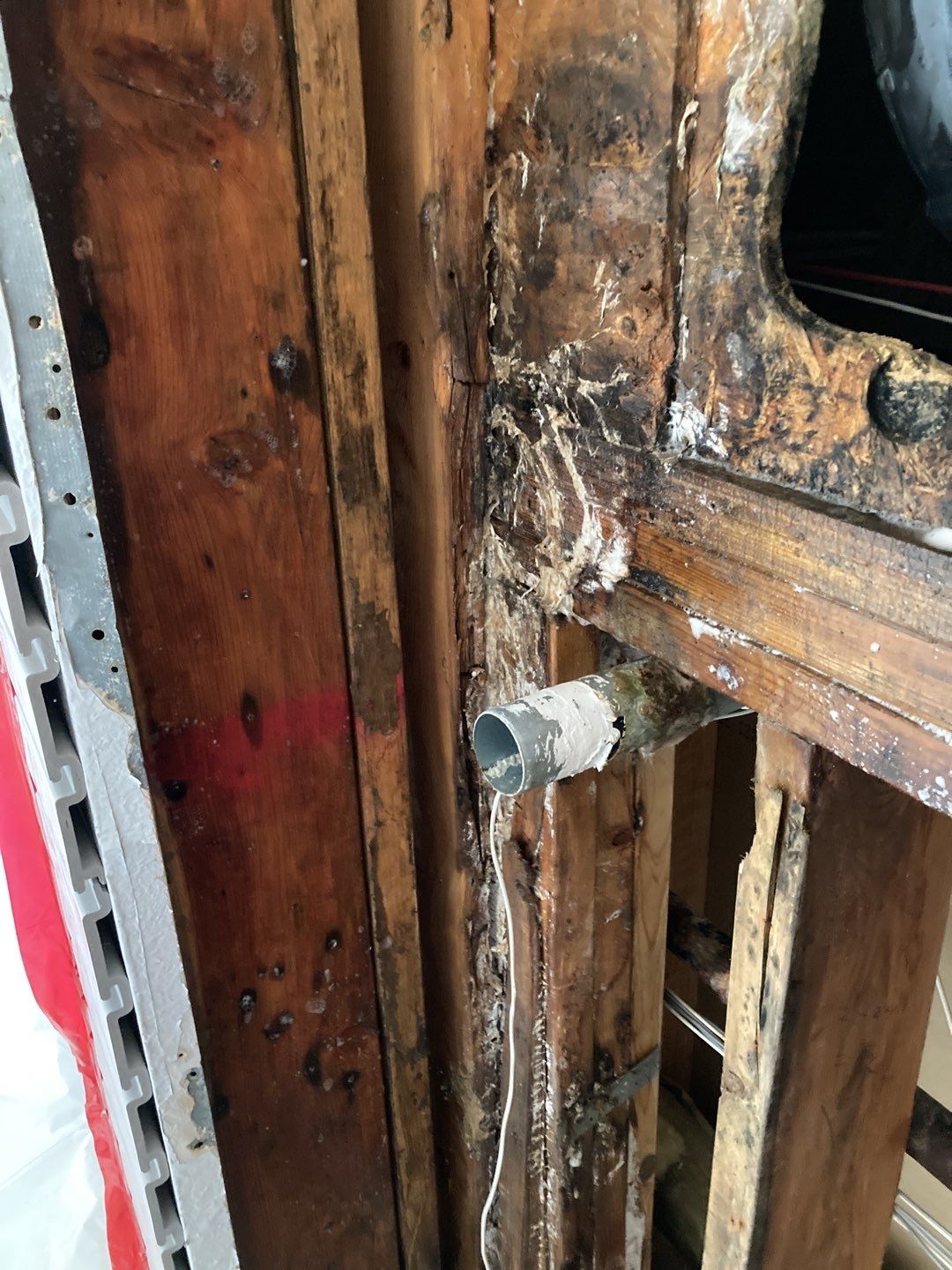 Mold Remediation using Containment by Accountable Home Services