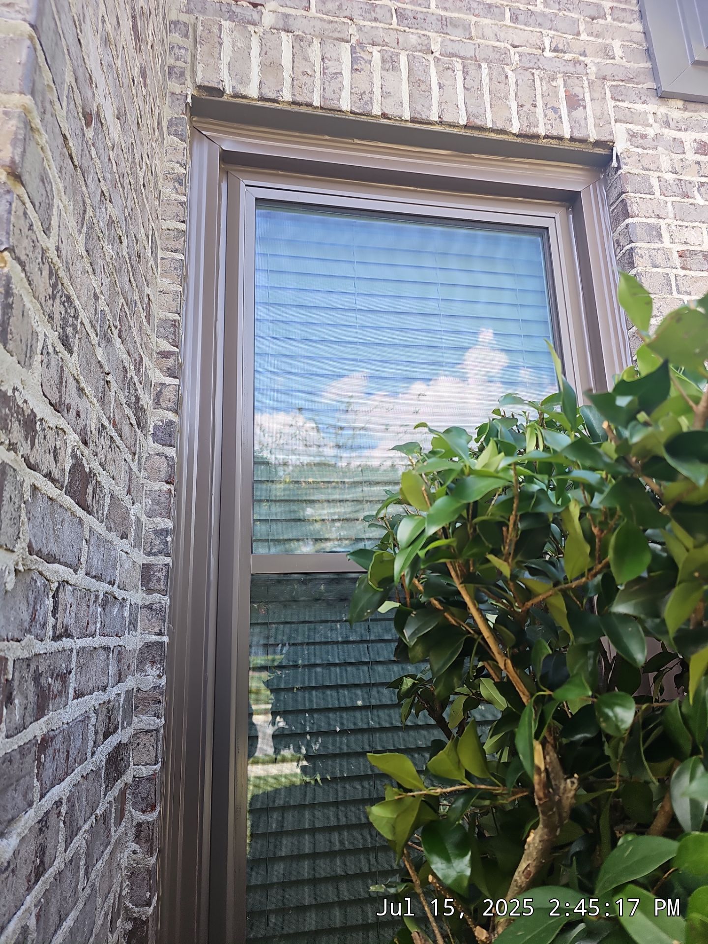 Koch Project in Birmingham by The Window Source