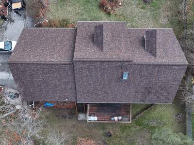 Tree Damage in Lake Orion, MI