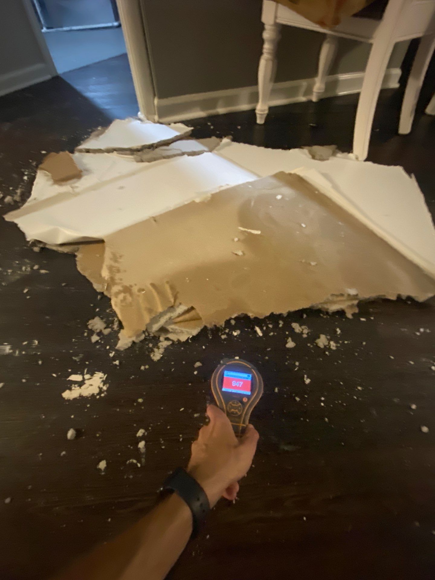 Project in Novi by EzDry Water Mitigation & Property Restoration