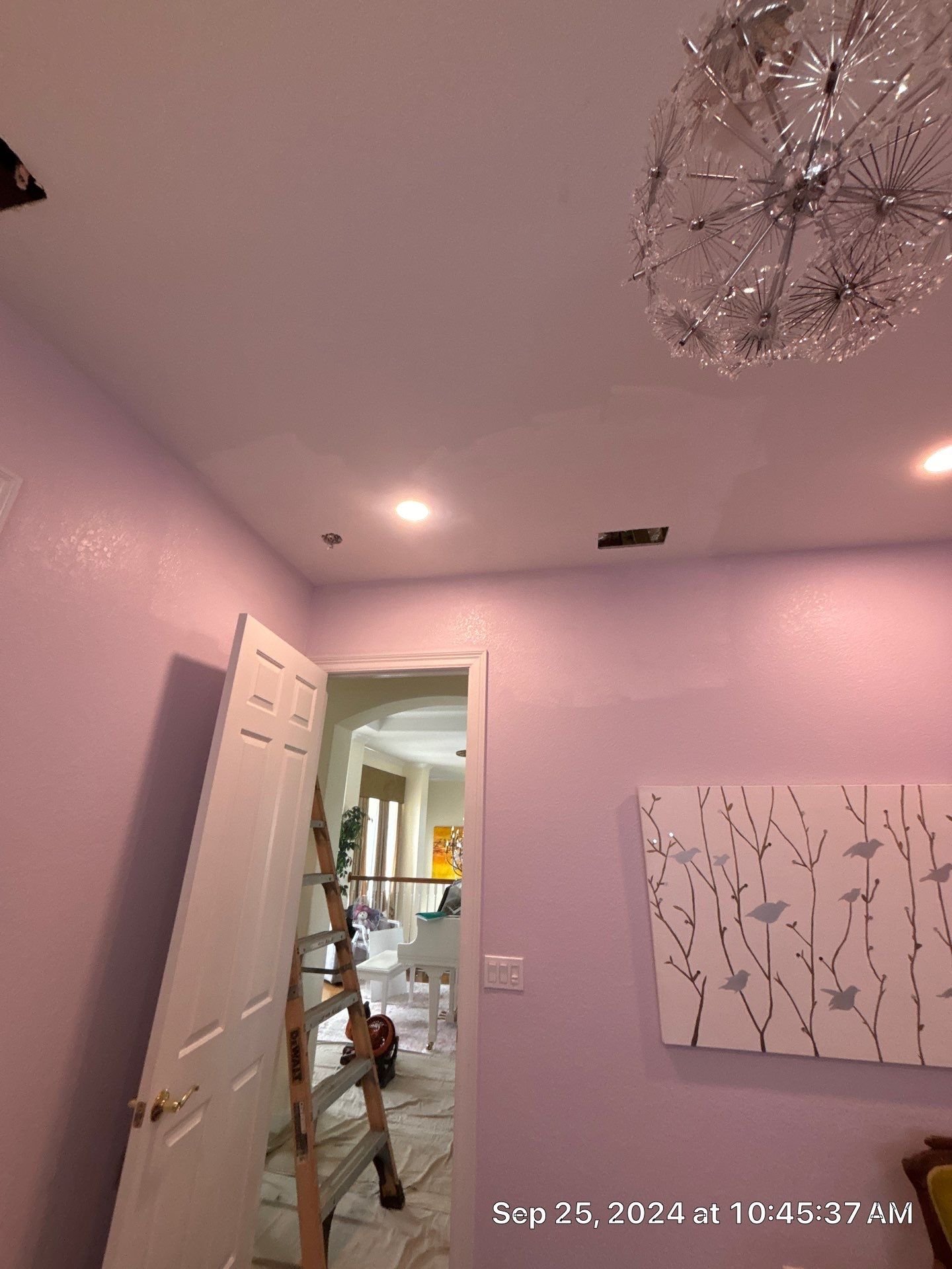 Nokomis Mold Remediation by Ampm Restoration Services