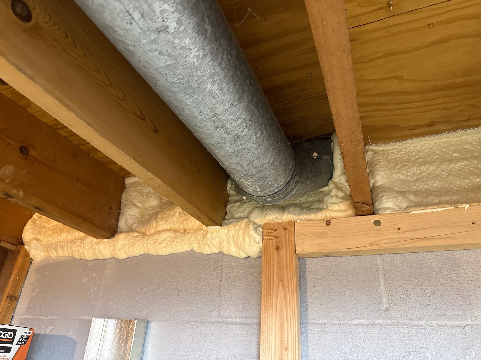 Rodent clean up and sanitation in Pittsburgh, PA 15237 by Home Environment Solutions