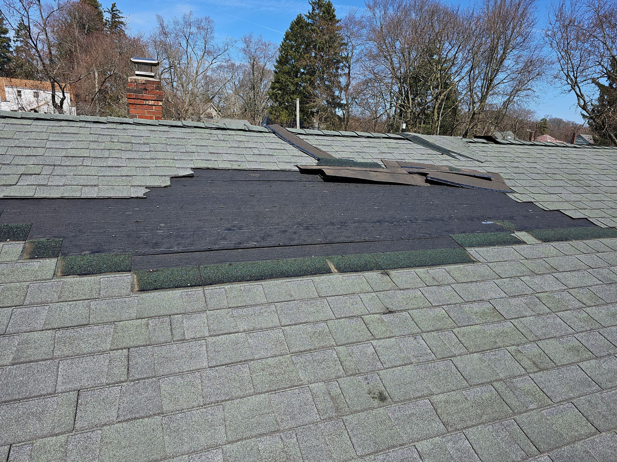 ATLAS PINNACLE COLOR: SUMMER STORM DRIP EDGE: WHITE by Eagle Eye Roofing
