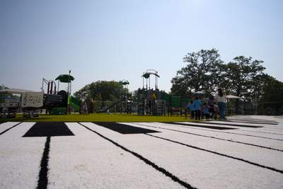 Packard Park
