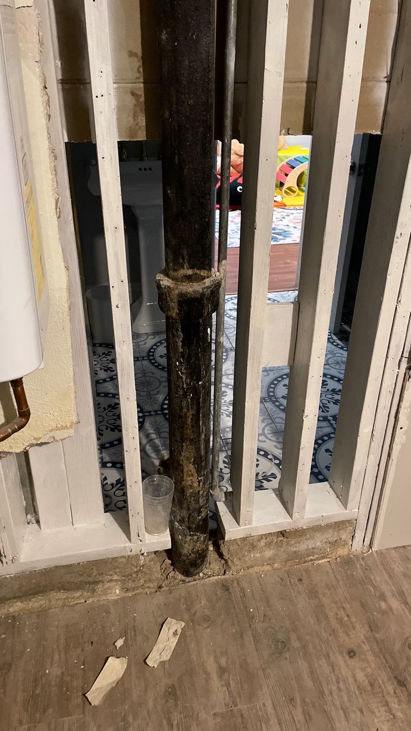 Mold Remediation by Accountable Home Services