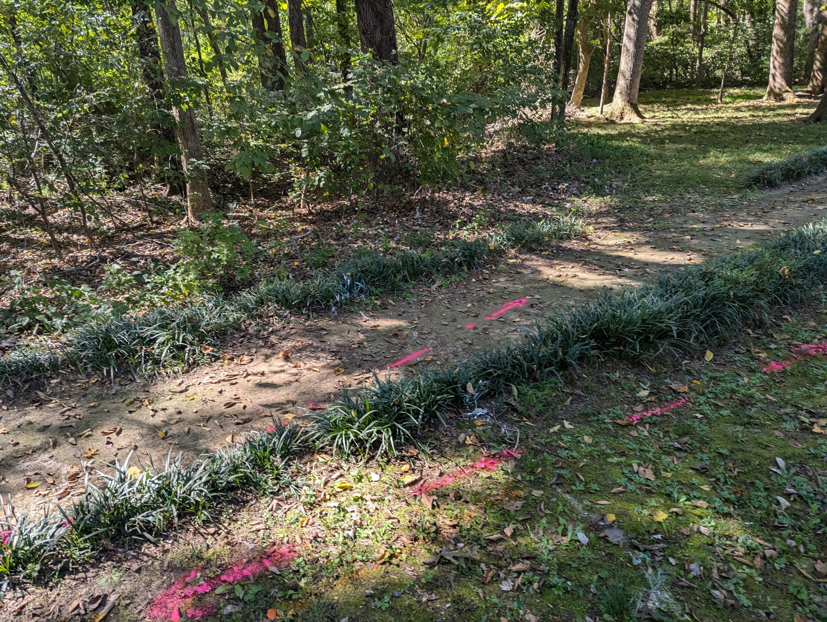 Utility Locating Services / GPR Request by Alsip Locating Service, LLC