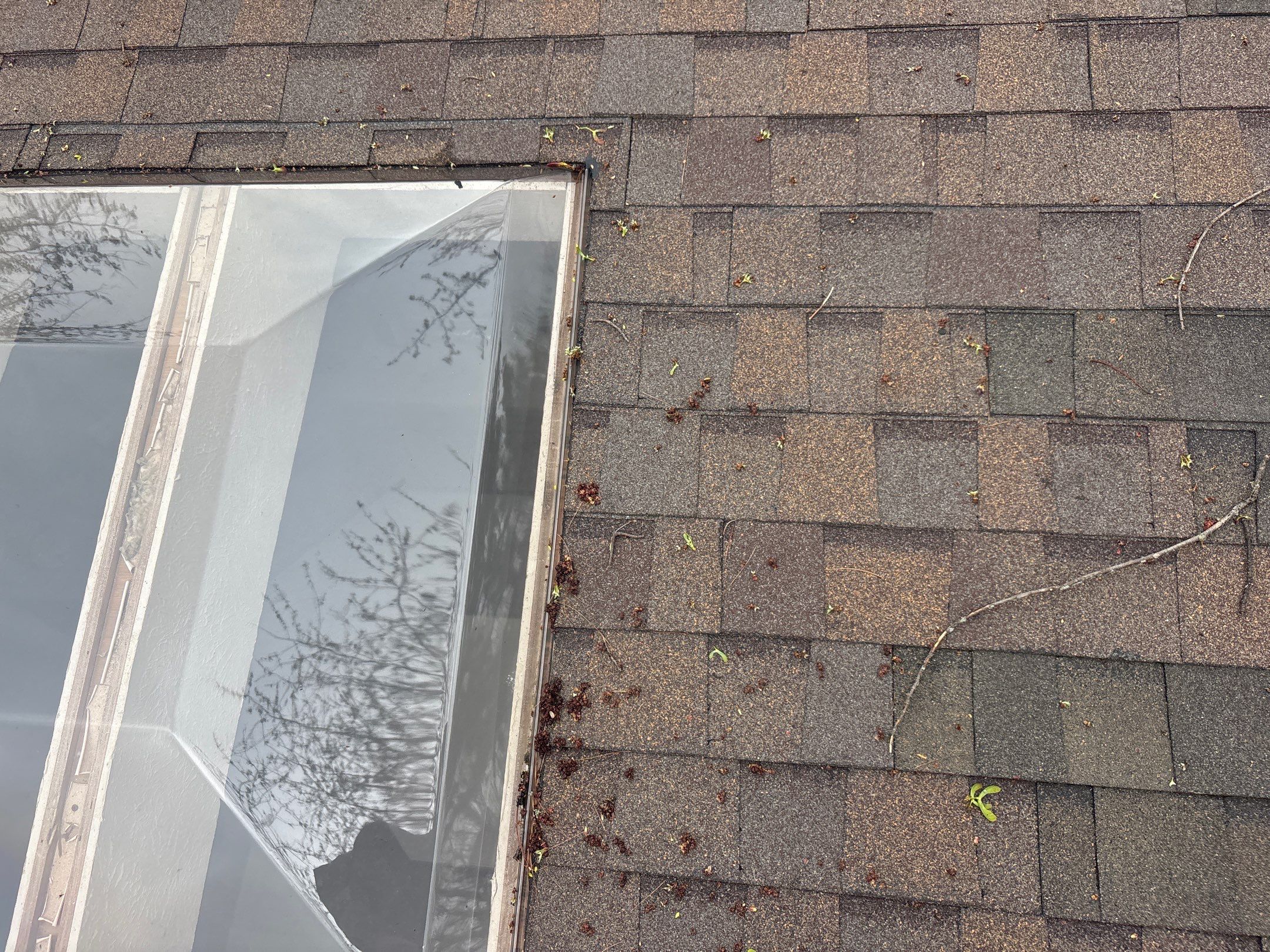 Roof Replacement using Owens Corning Brownwood by 180 Contractors