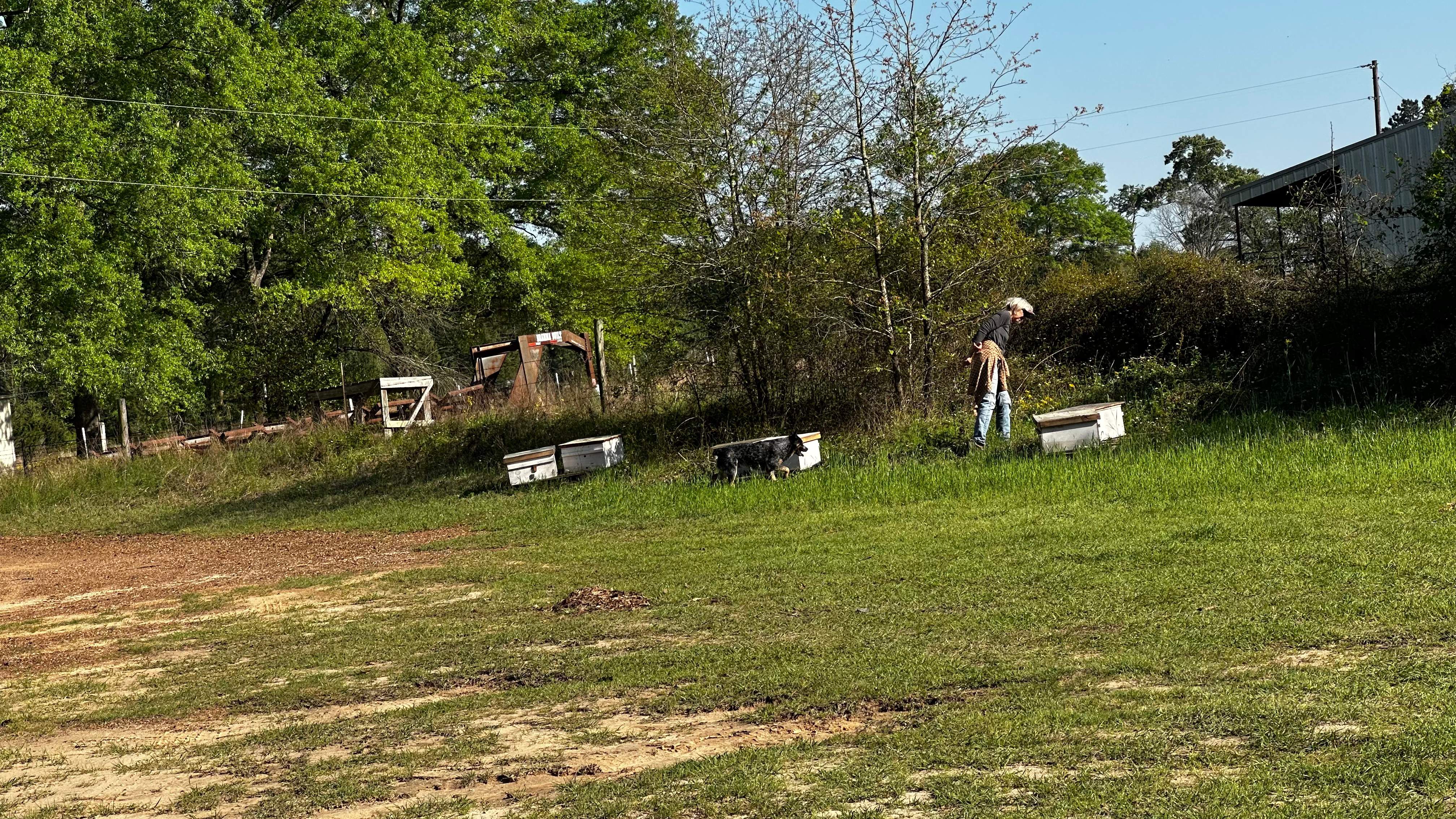 BeeGirl ETX HQ by Rockwall Honey Bee Company