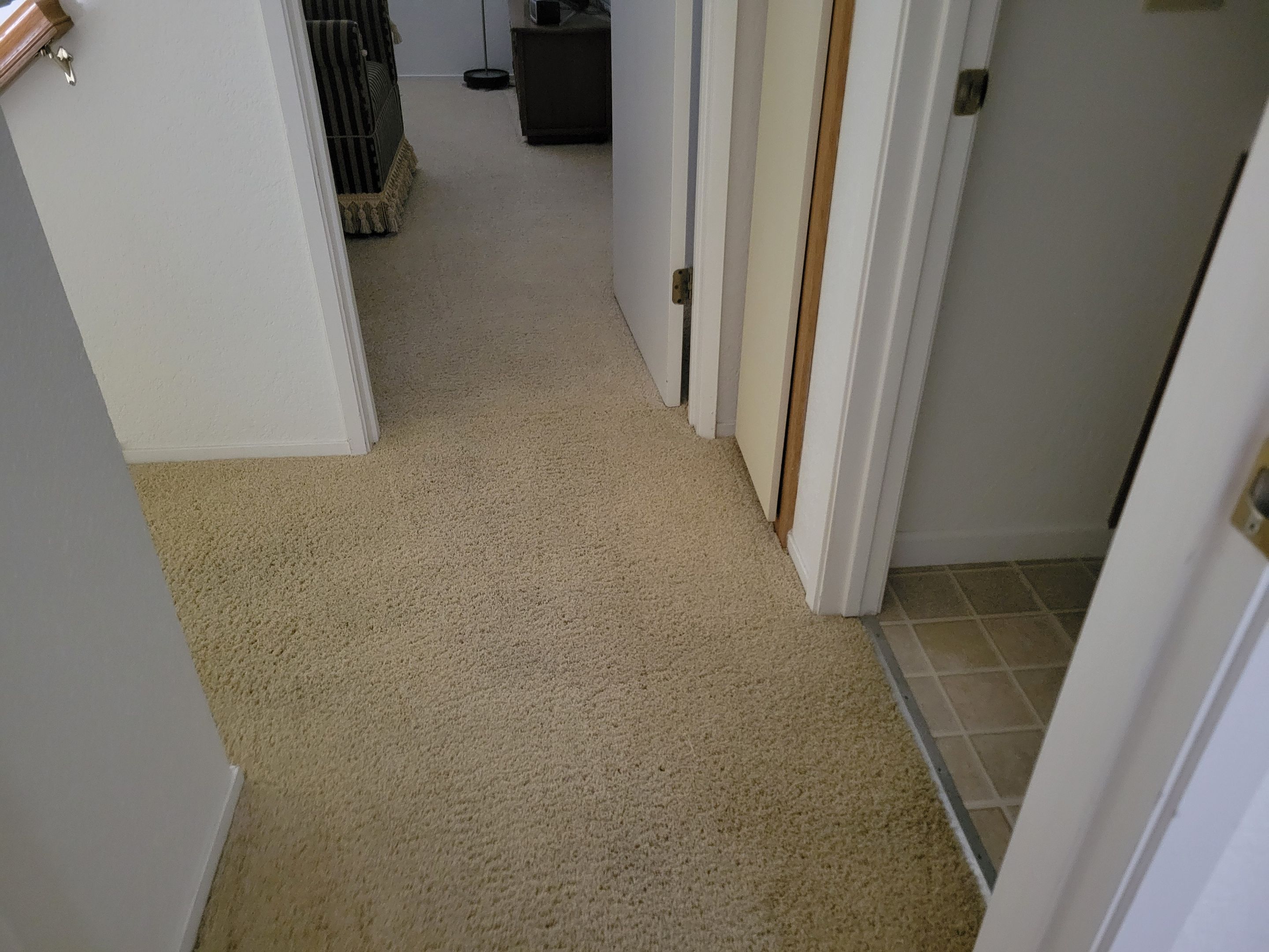 Carpet Re-stretching and Cleaning by Ardent Carpet Restore LLC
