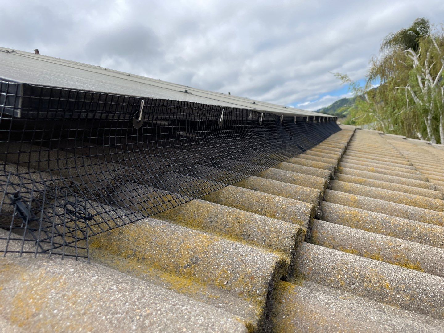 Solar Panel Bird Proofing-Morgan Hill by All One Solar Shine