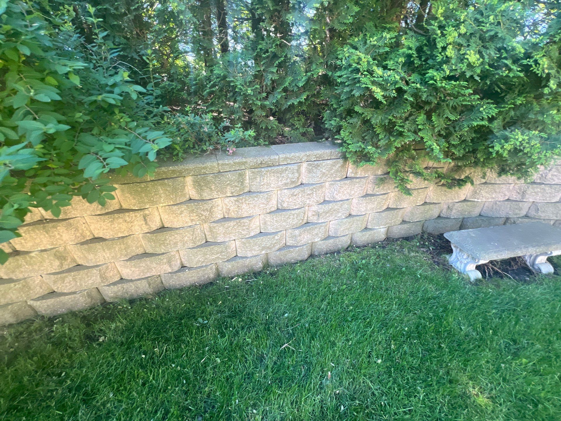 concrete cleaning using Algaecide, soft wash soap by Northern Power Washing LLC.