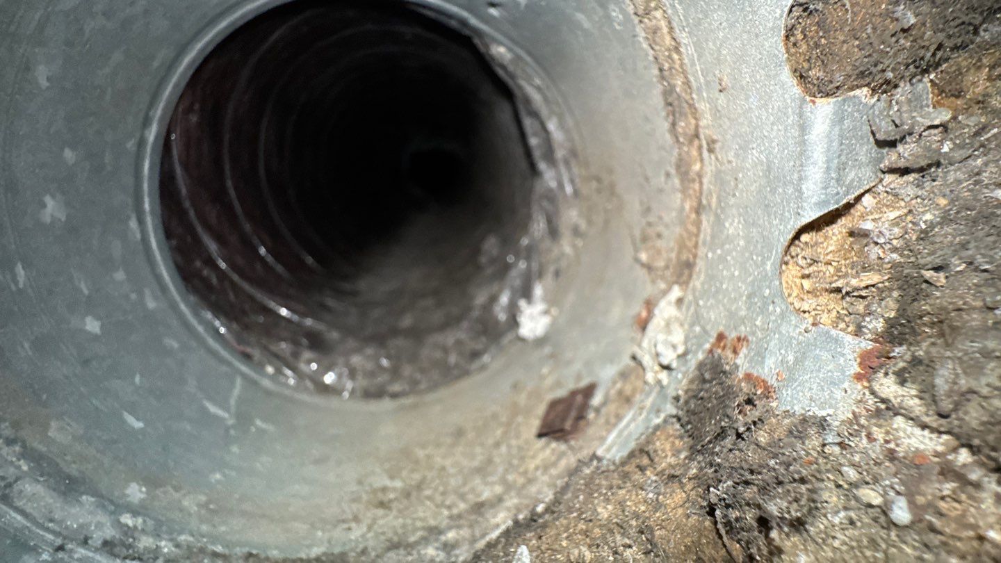 Extremely Dirty Air Duct Cleaning in Fruitland Park by Hygienic Air, Inc