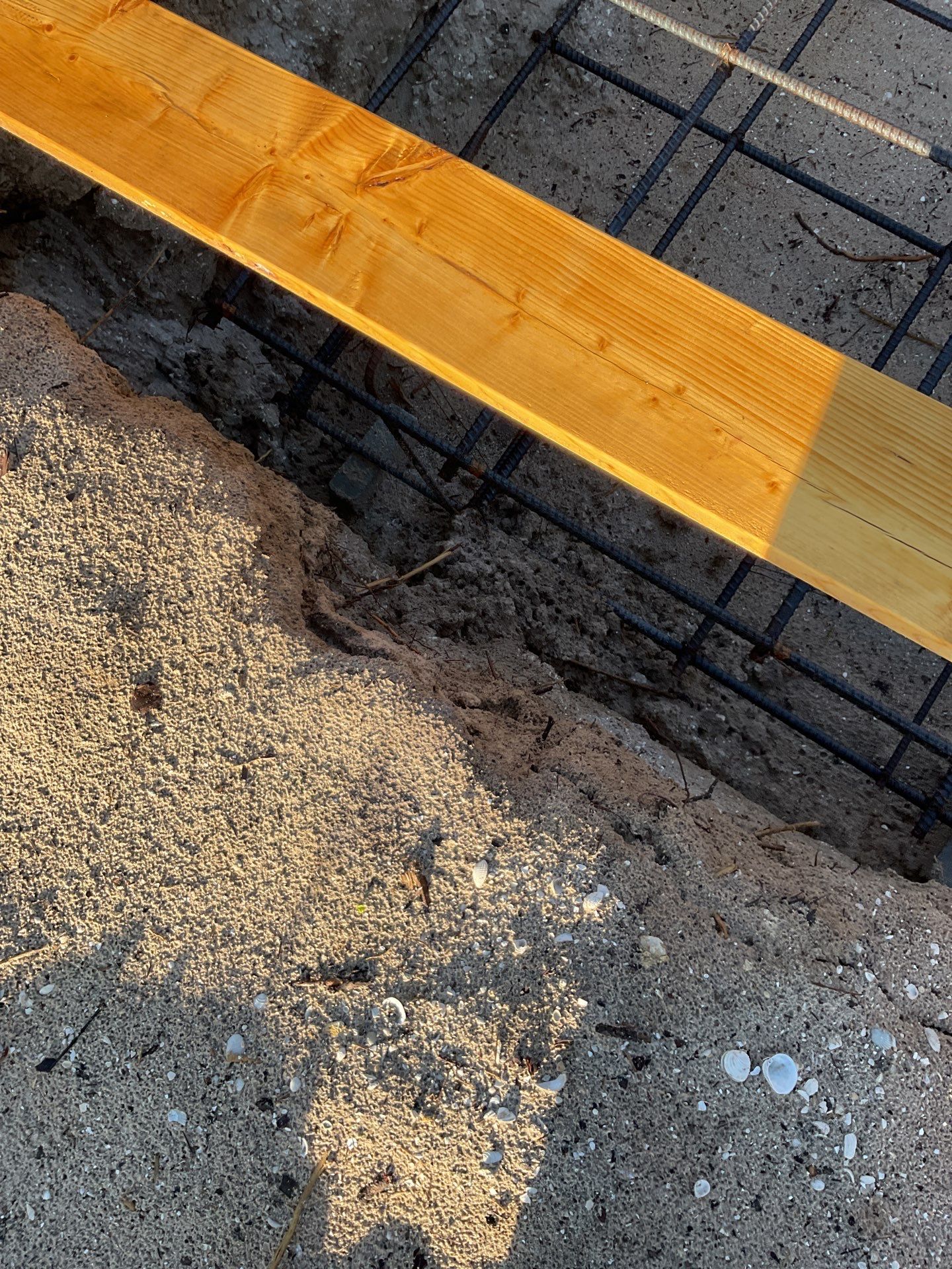 TRACTOR SUPPLY NAPLES by Southern Gulf Construction