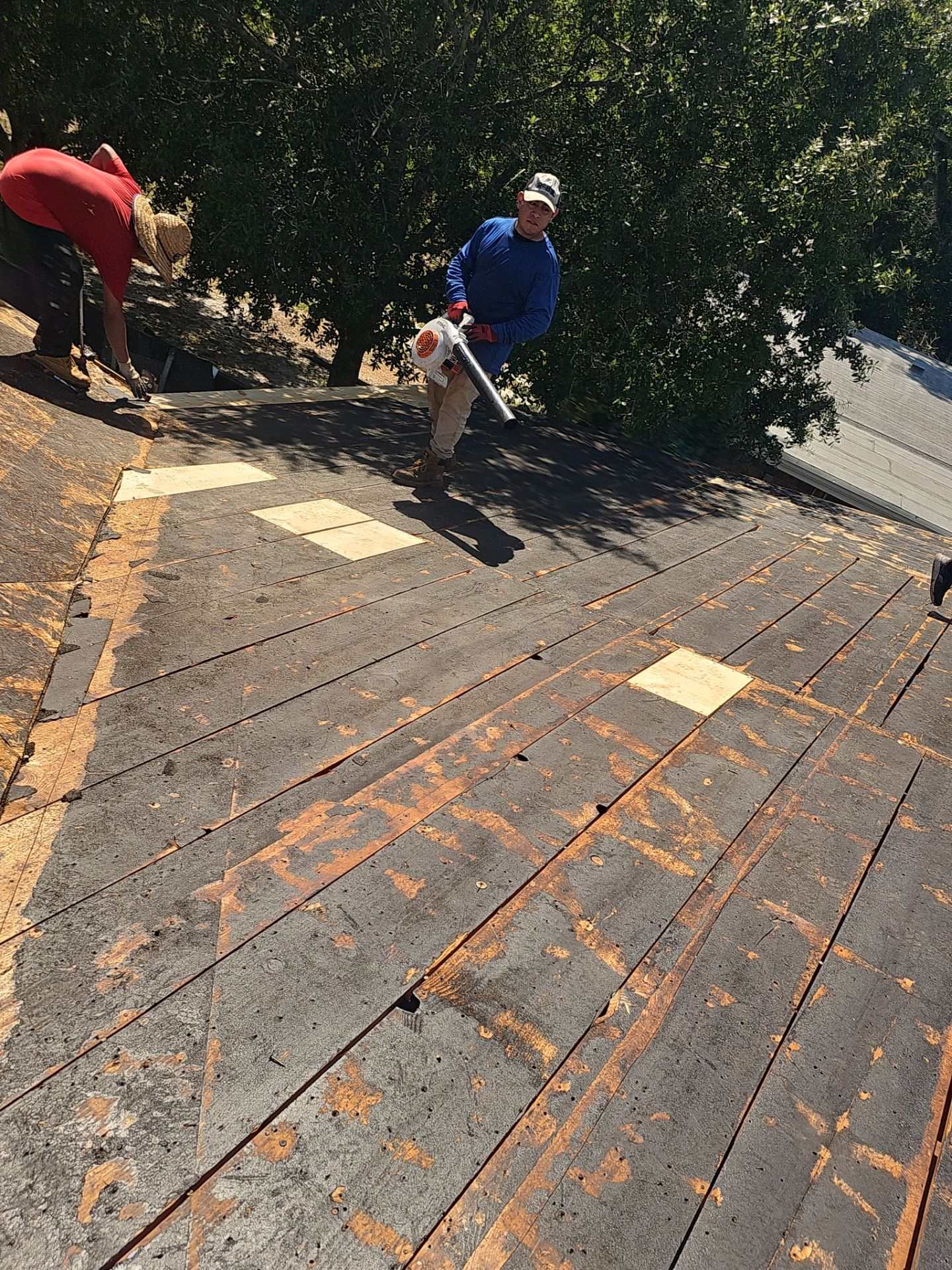 Project in St. Petersburg 33712 by Mitchell Roofing Company LLC