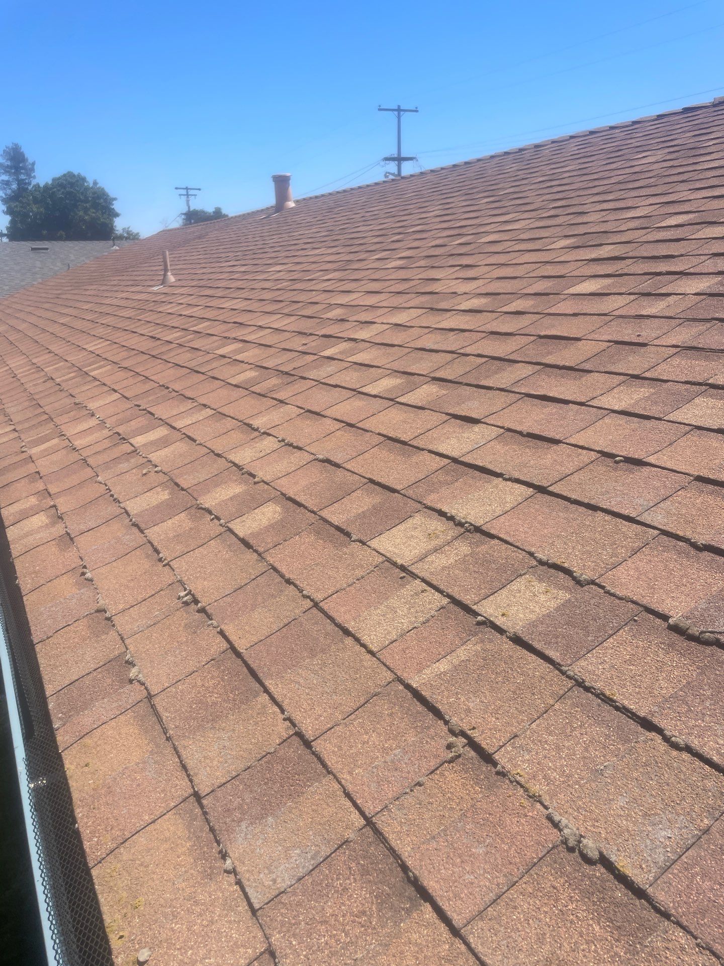 Roof Rejuvenation using Roof Maxx Treatment by Roof Maxx of Folsom