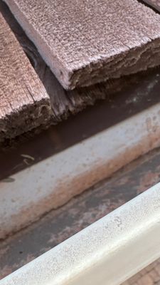 Turtle Shell gutter protection installation in St. Charles, IL 60174, photograph 15
