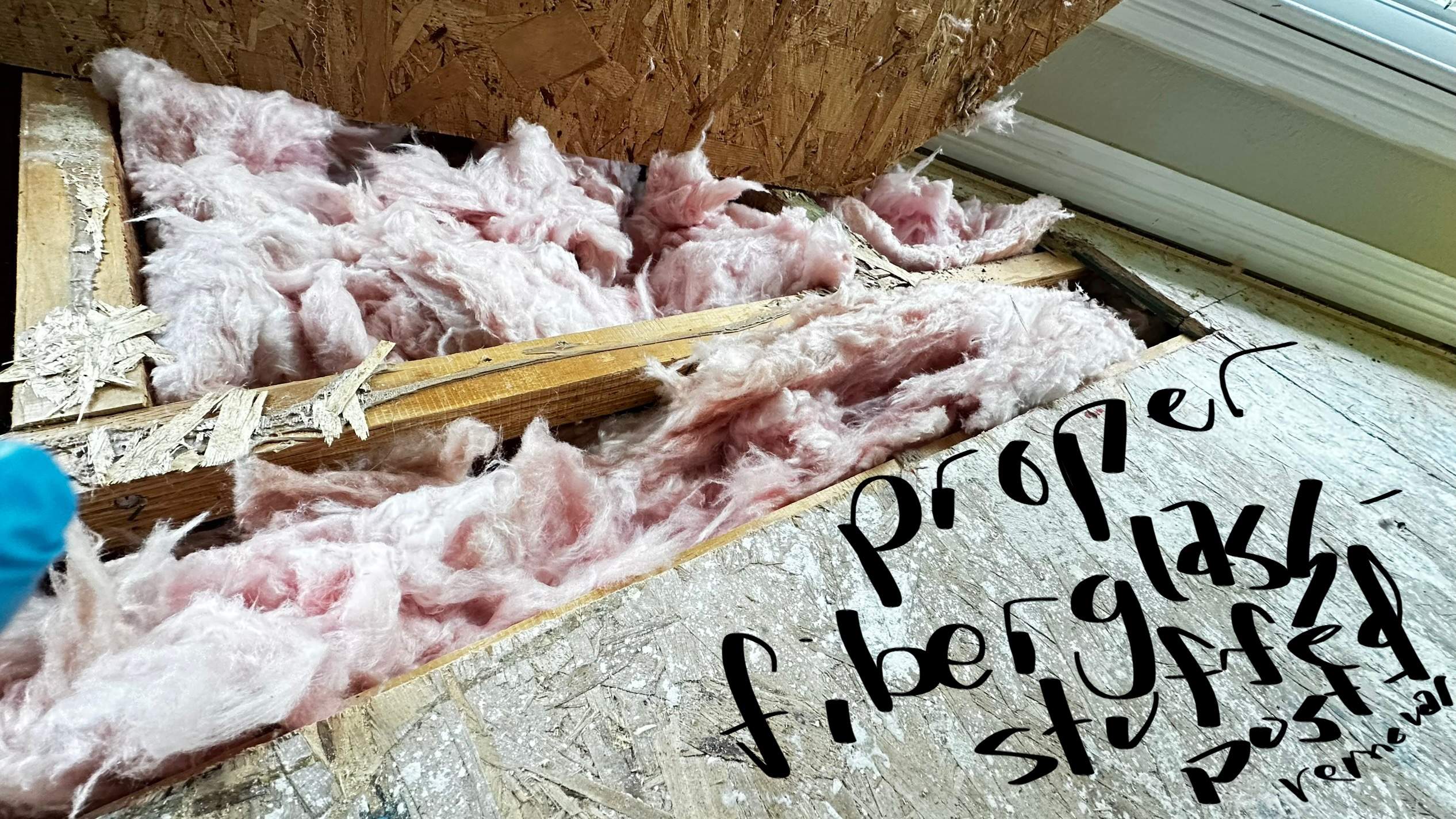 Feet Bees by Rockwall Honey Bee Company