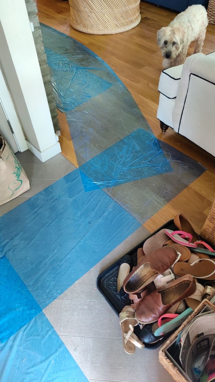 Mold Remediation by Accountable Home Services