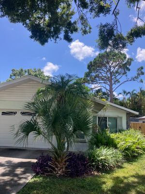 Project in Pinellas Park 33781