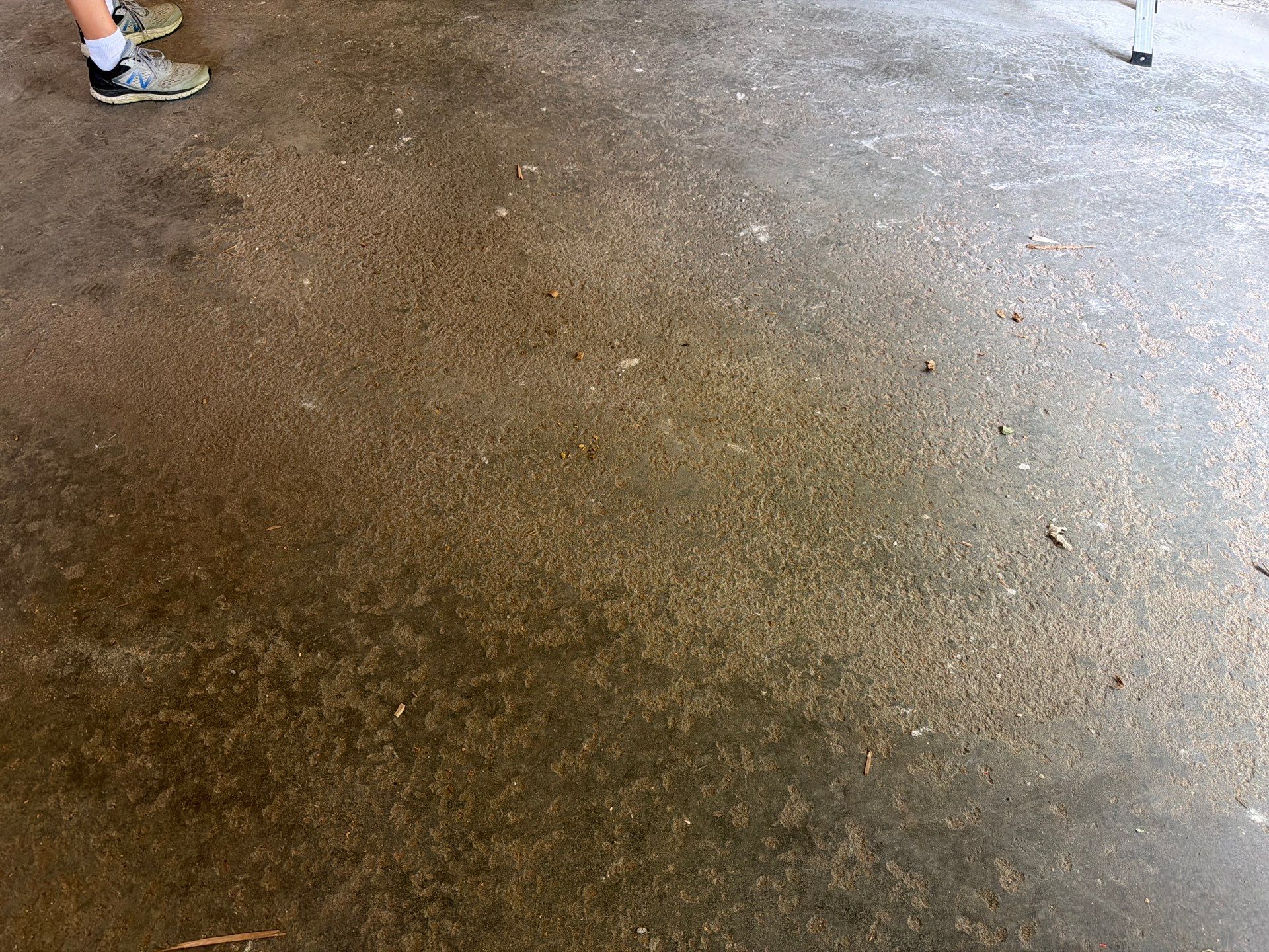 Epoxy Concrete Coating and Garage Floor Restoration in Sioux Falls by Select Painting, Coatings & Garage Cabinets